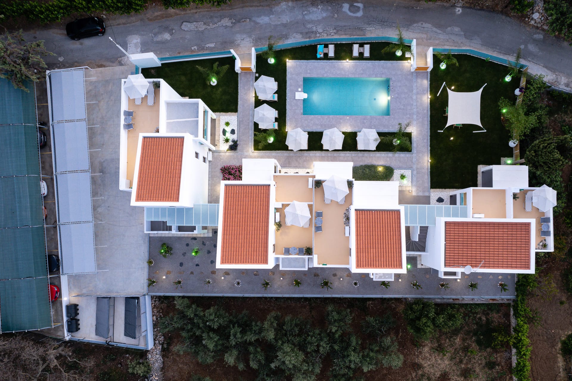 Coconut Palm Paradise