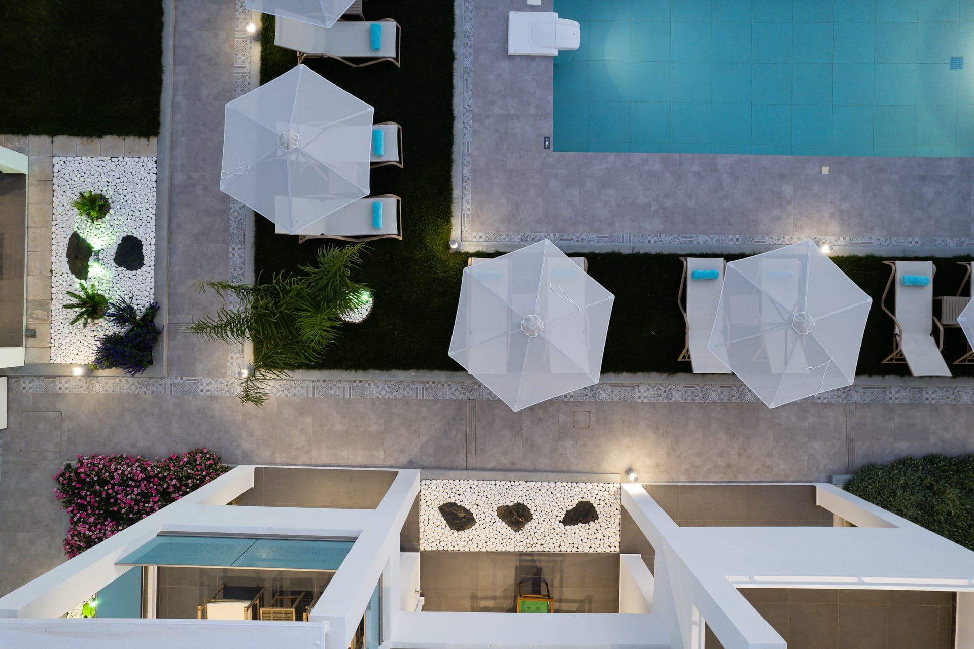 Coconut Palm Paradise