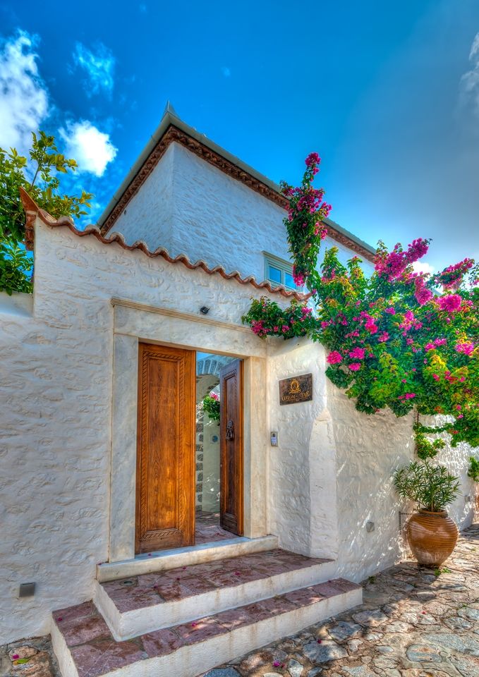 Cotommatae 1810 Hydra