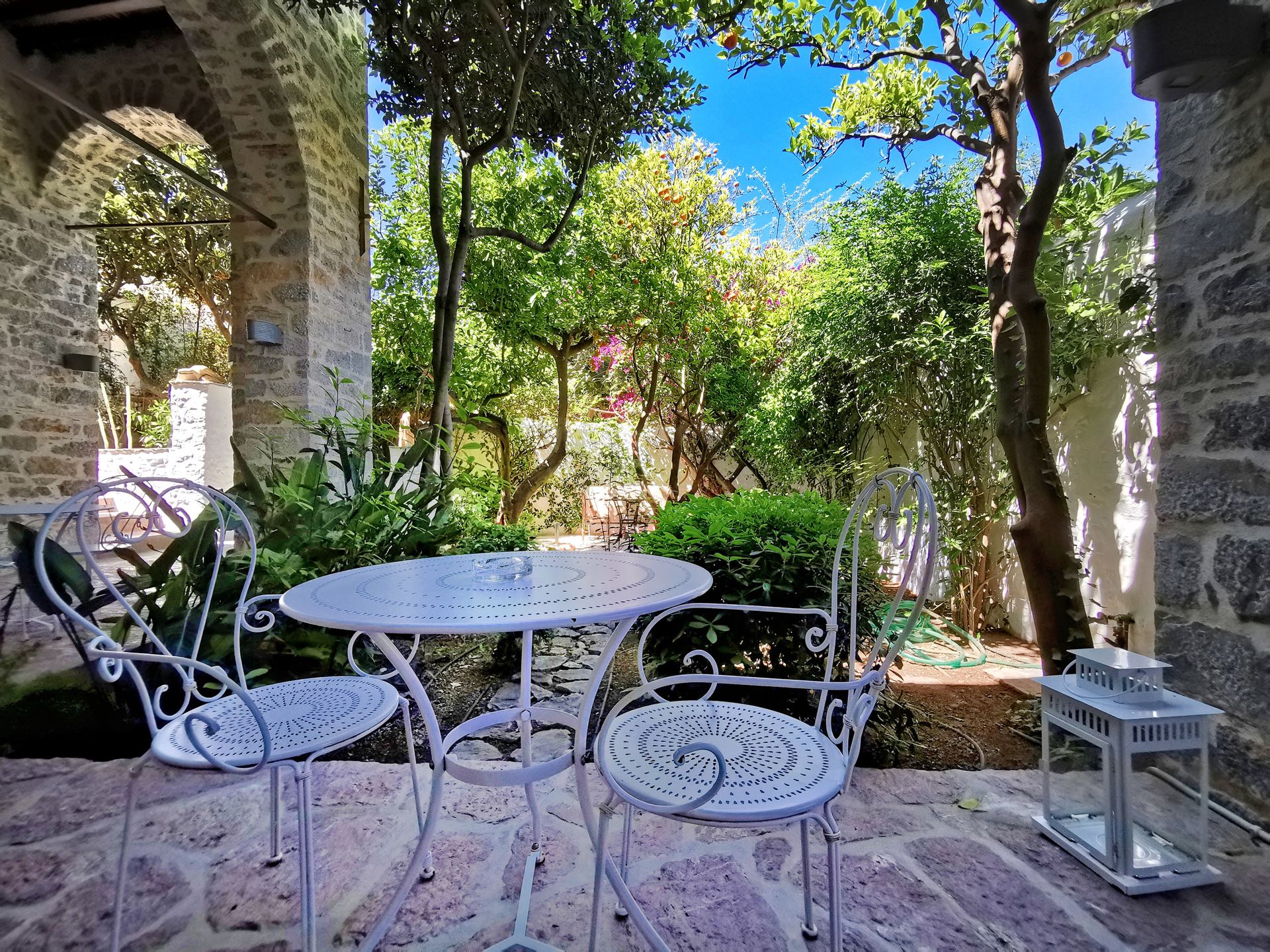 Cotommatae 1810 Hydra