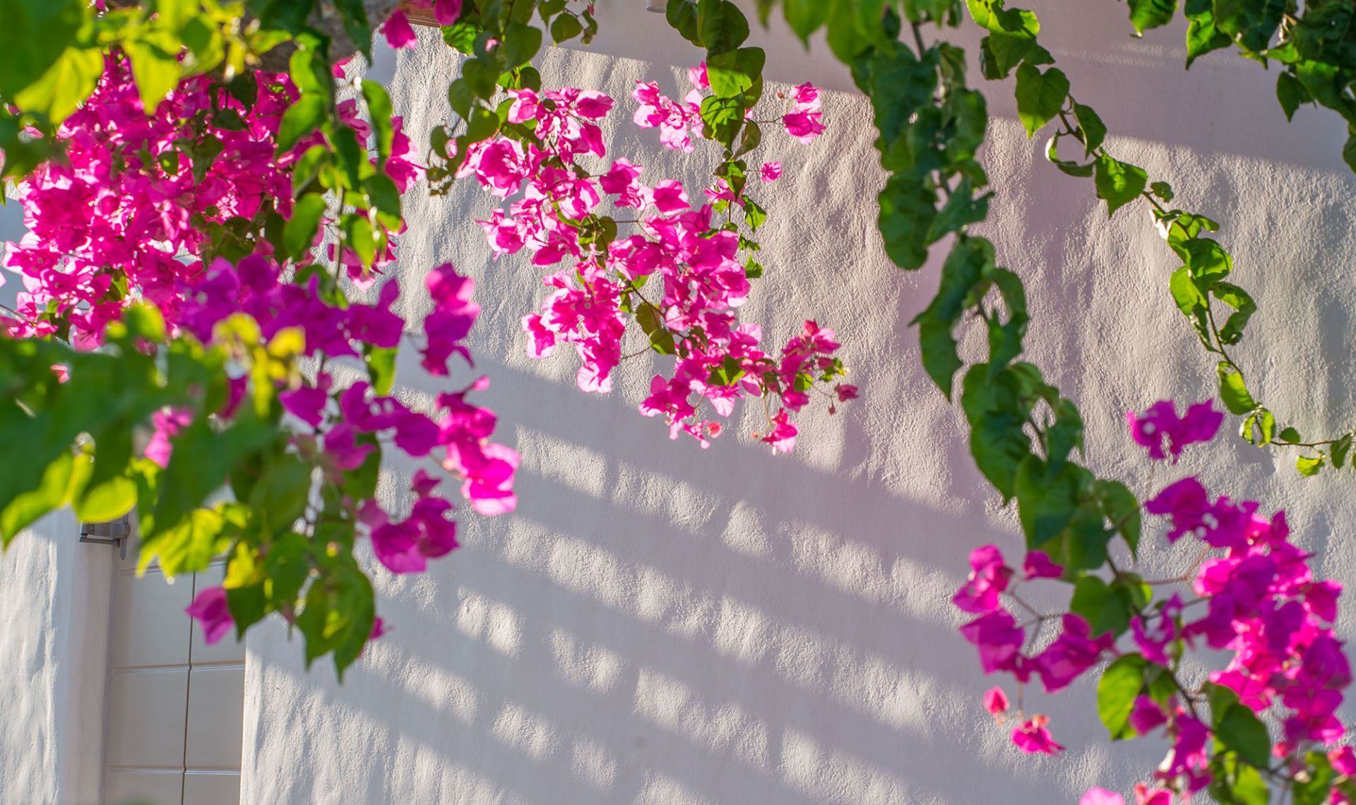 Delmar Apartments & Suites