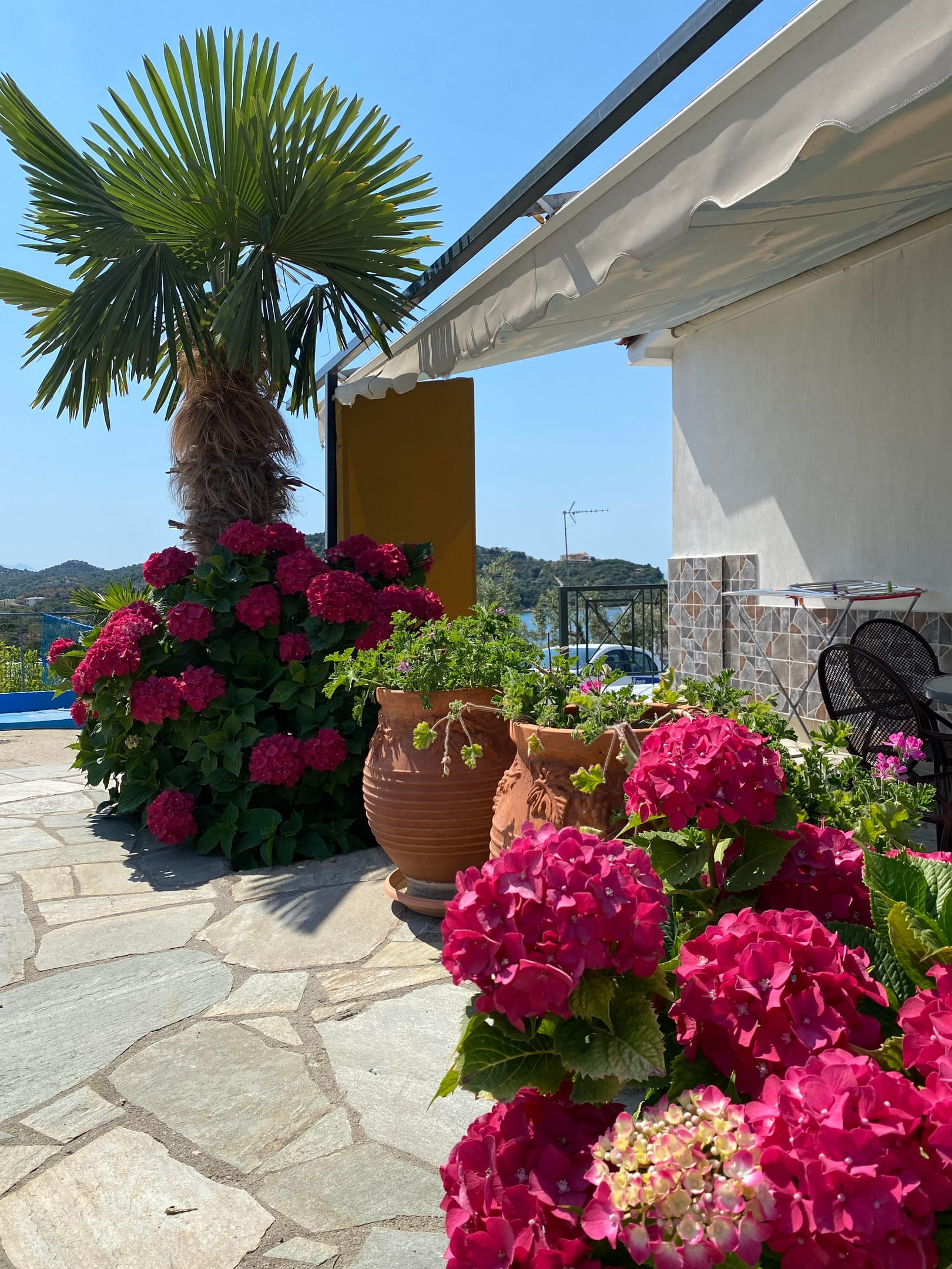 Demi Studios Halkidiki