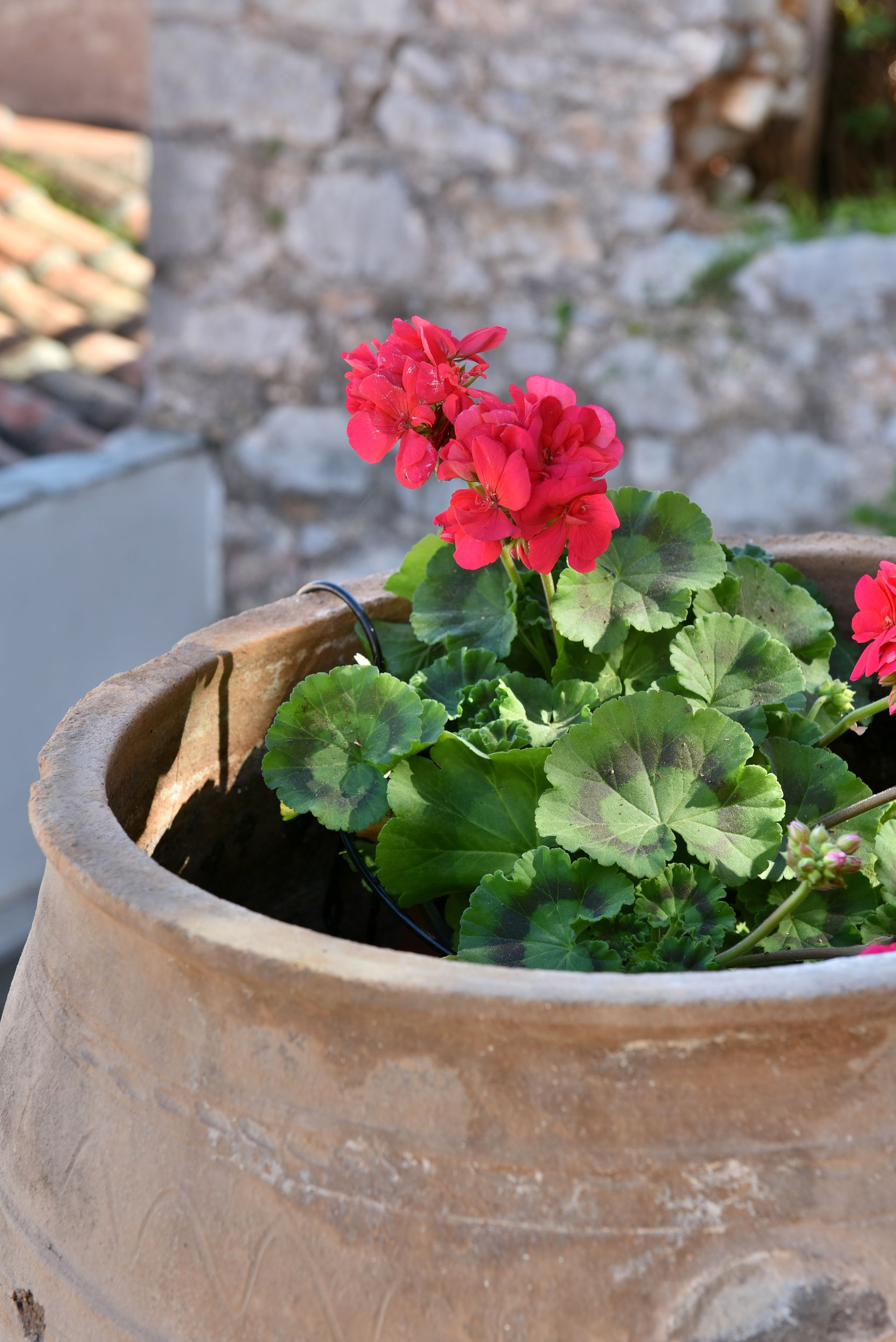 Douskos Port House Hydra