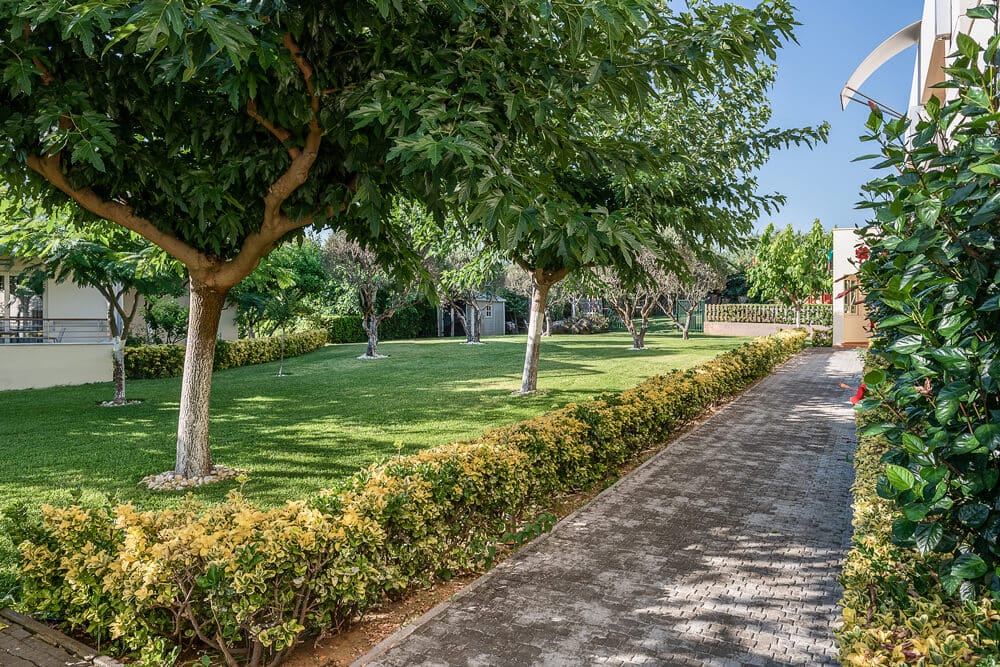 Cretan Dream Resort & Spa