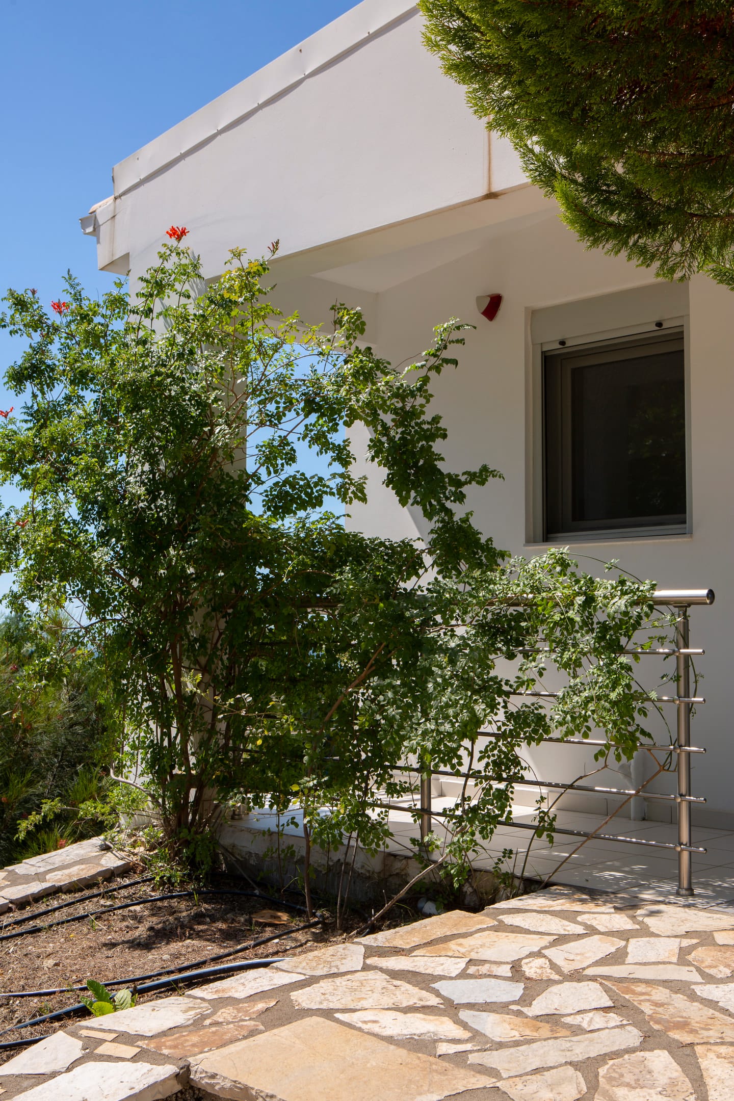 Dream View Villas Lefkada