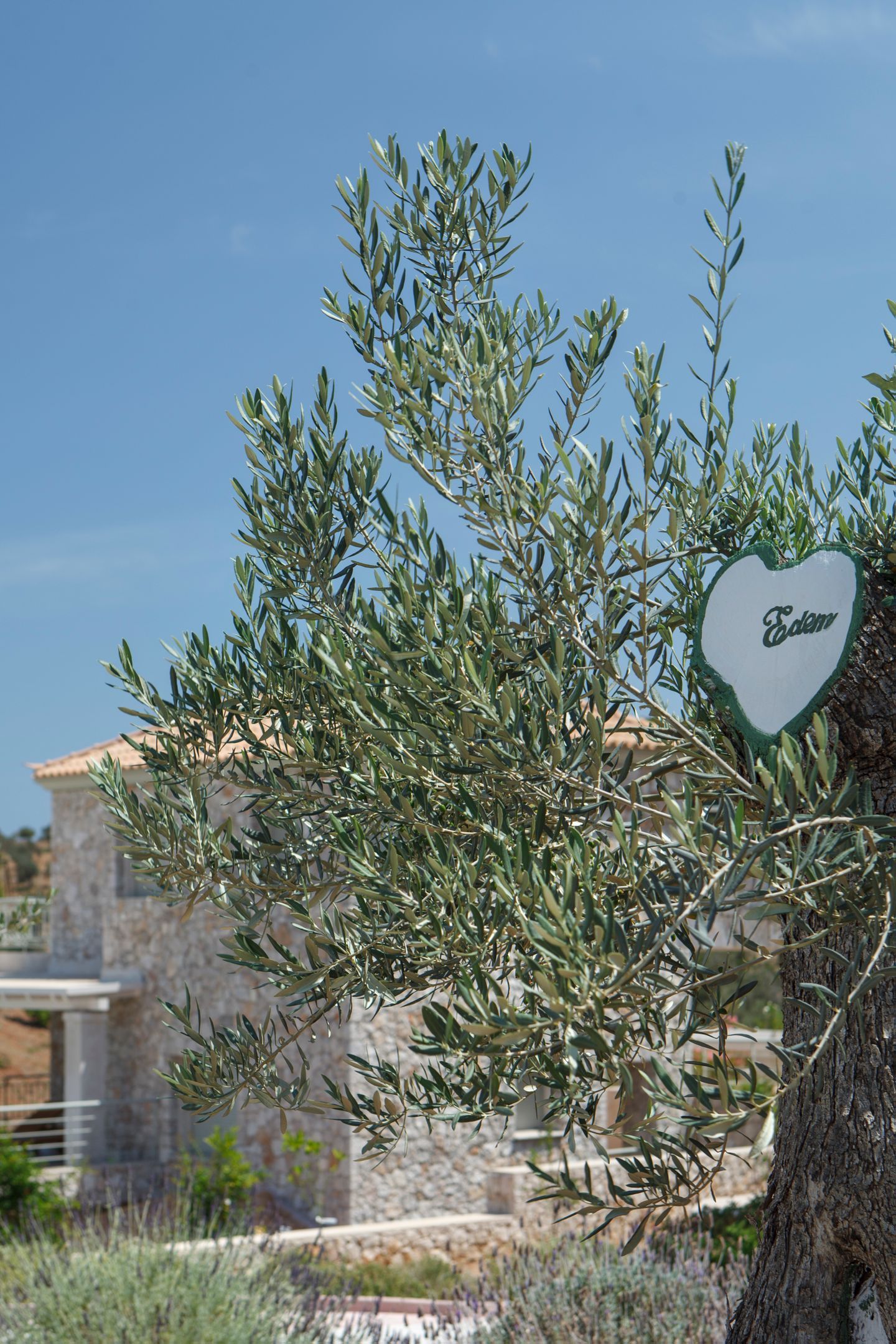 Edem Resort Porto Heli