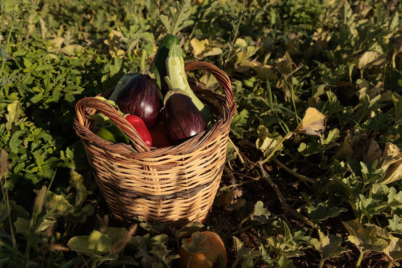Eden Beachfront Residences and Suites