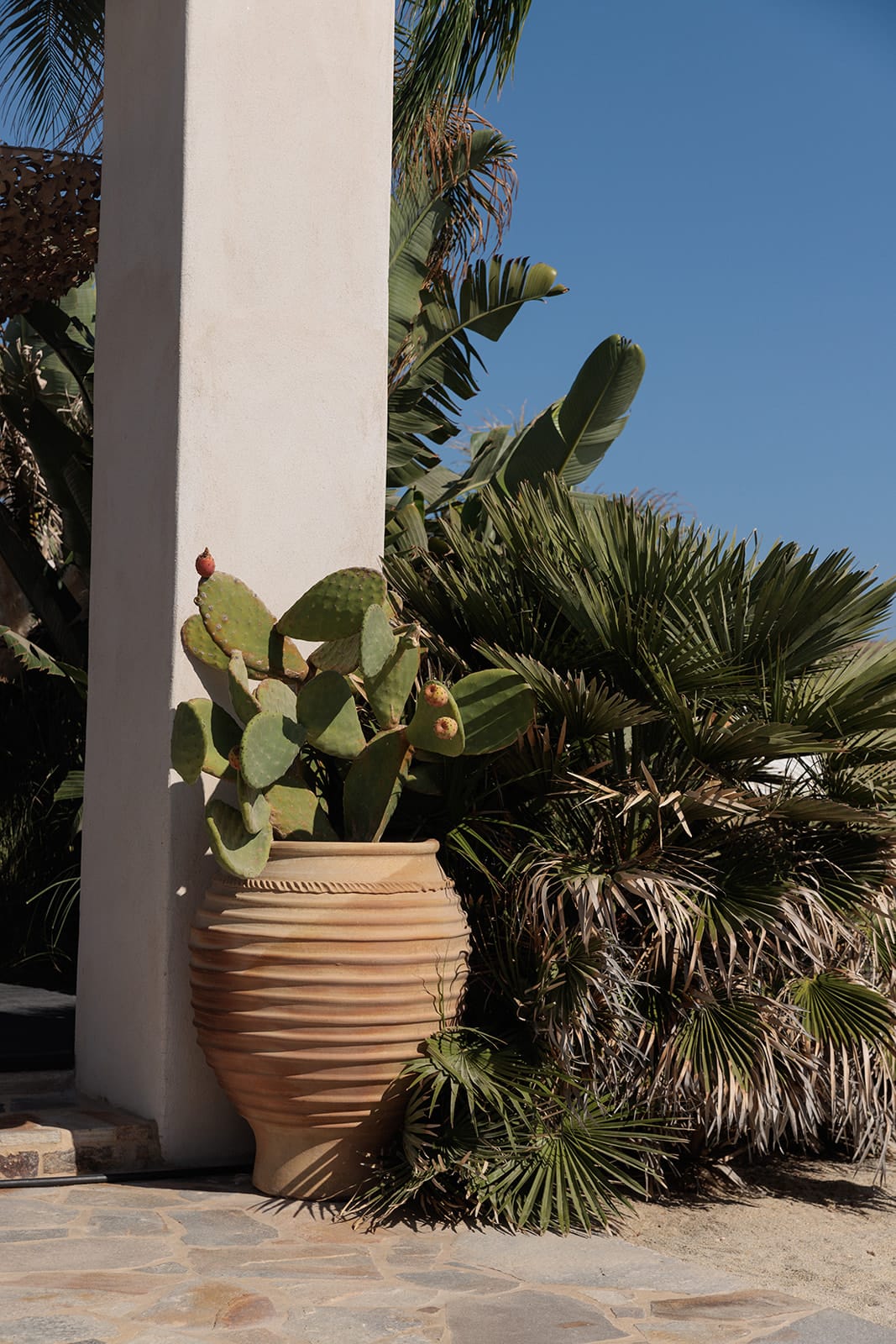 Eden Beachfront Residences and Suites