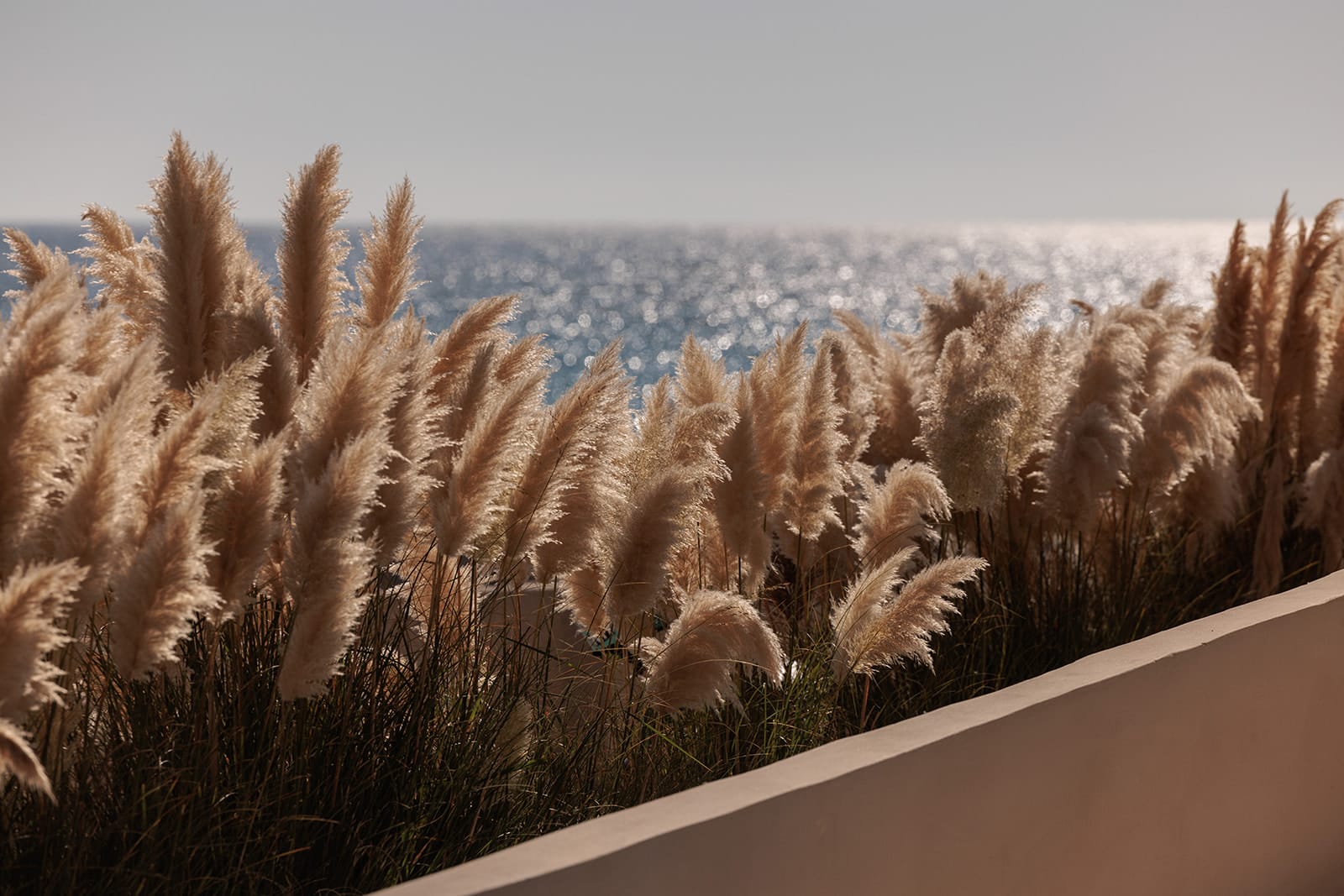 Eden Beachfront Residences and Suites