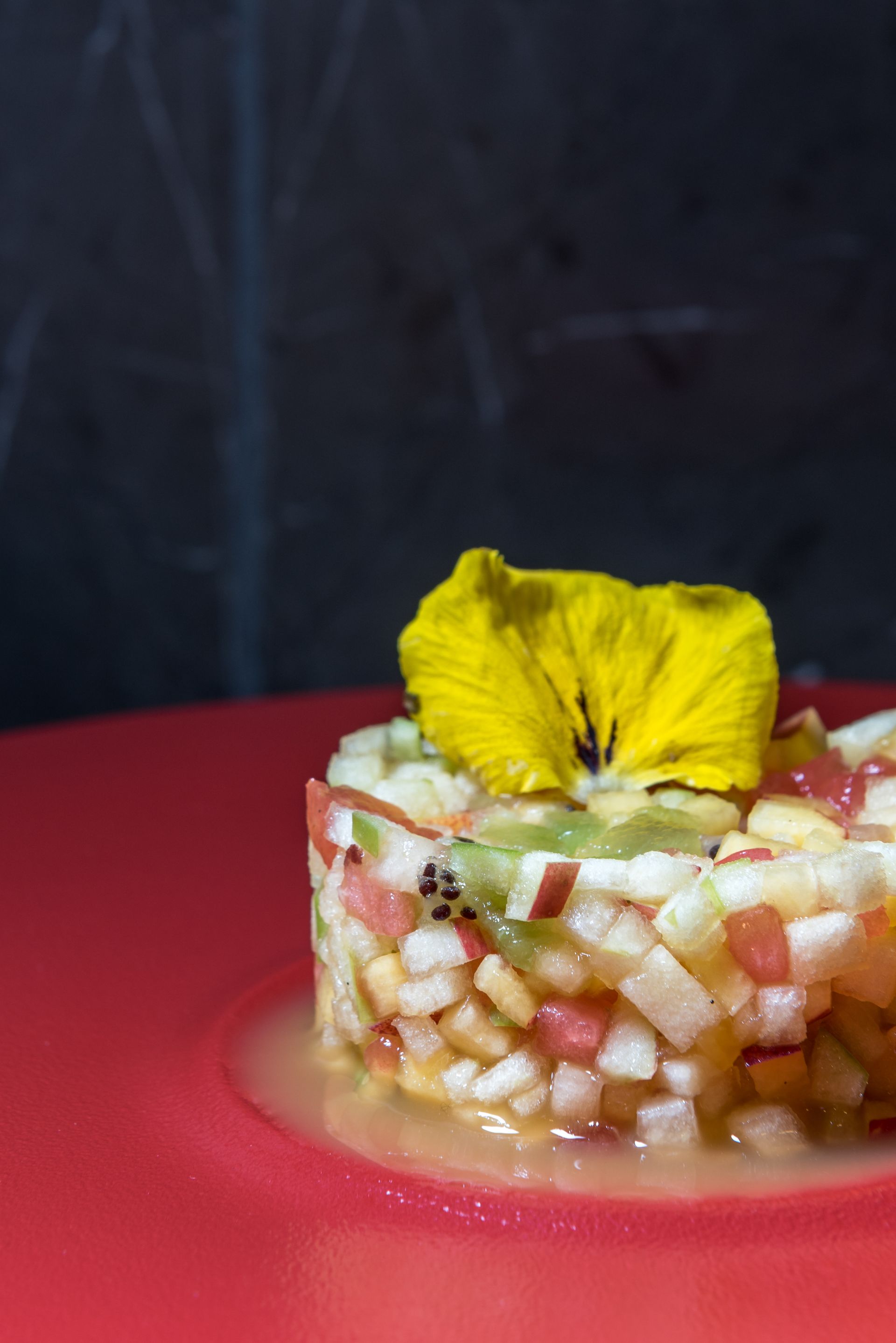 Euphoria Retreat - A Holistic Wellbeing Destination Spa