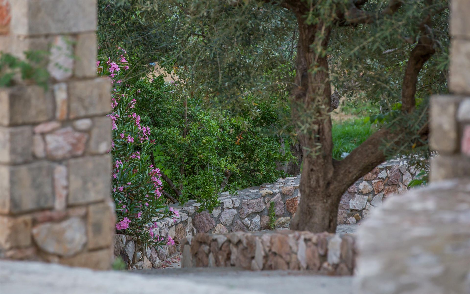 Georgia's Houses Monemvasia