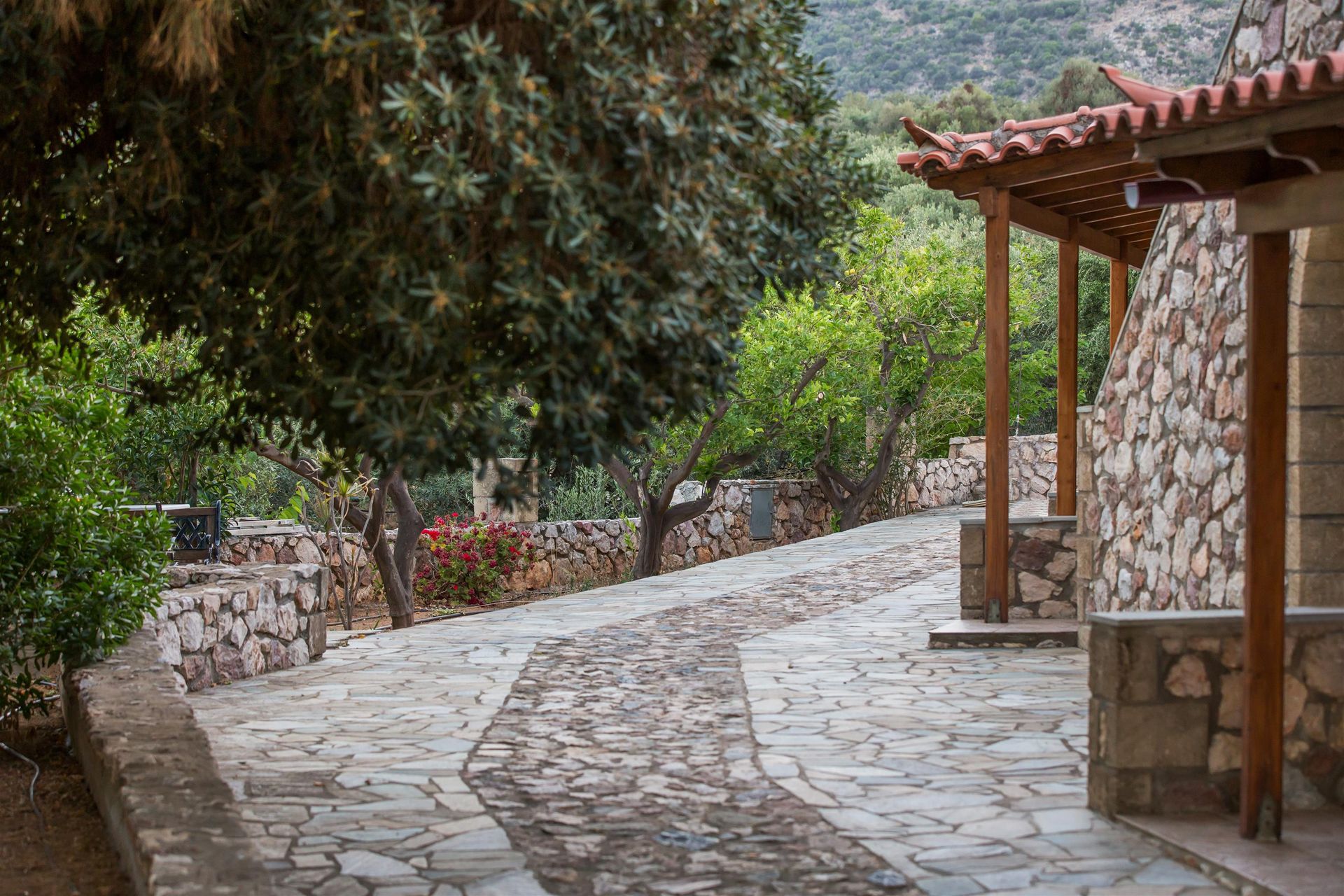 Georgia's Houses Monemvasia