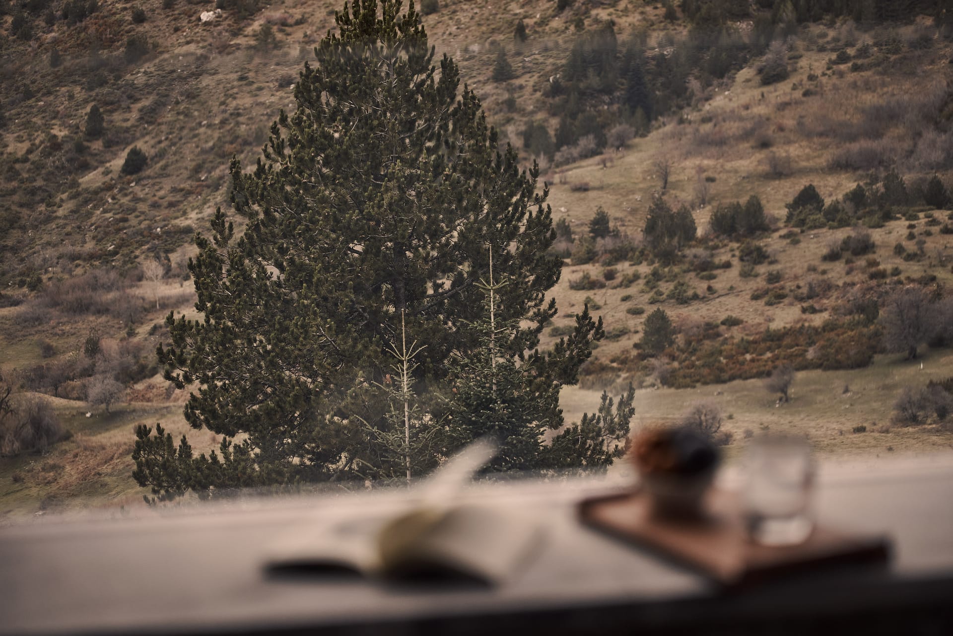 Grand Forest Metsovo