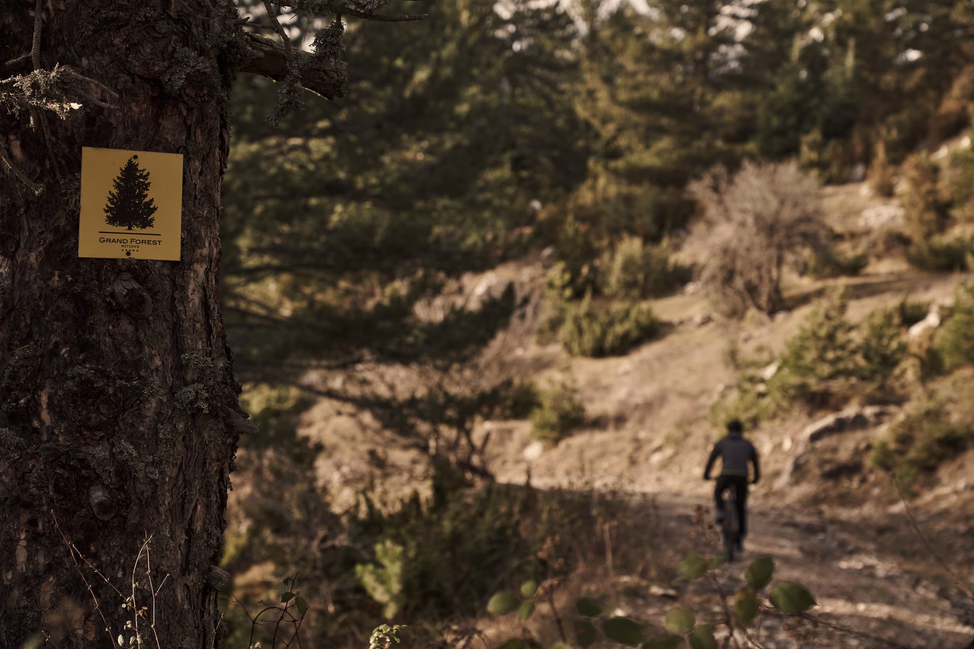 Grand Forest Metsovo