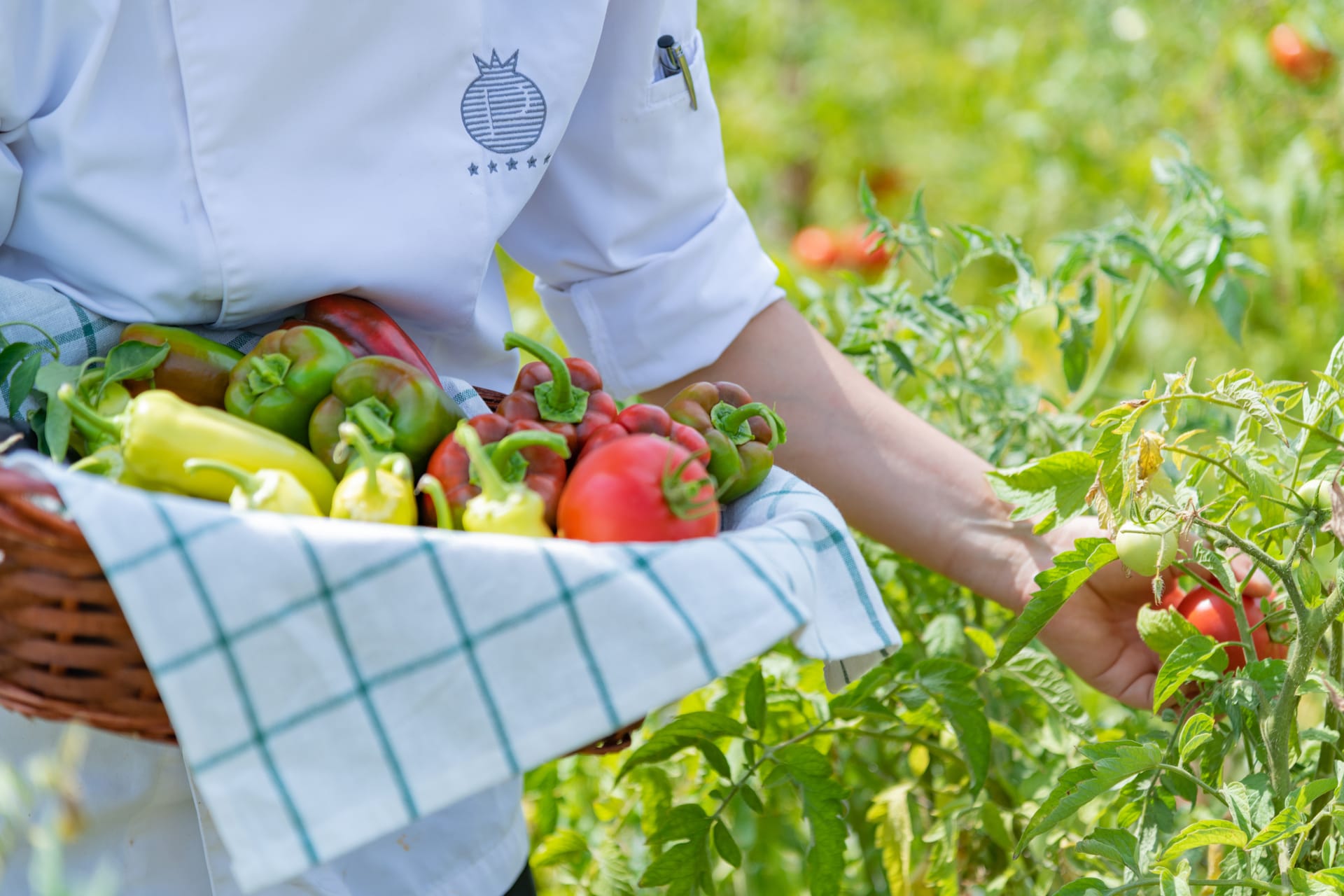 Pomegranate Wellness Spa Hotel