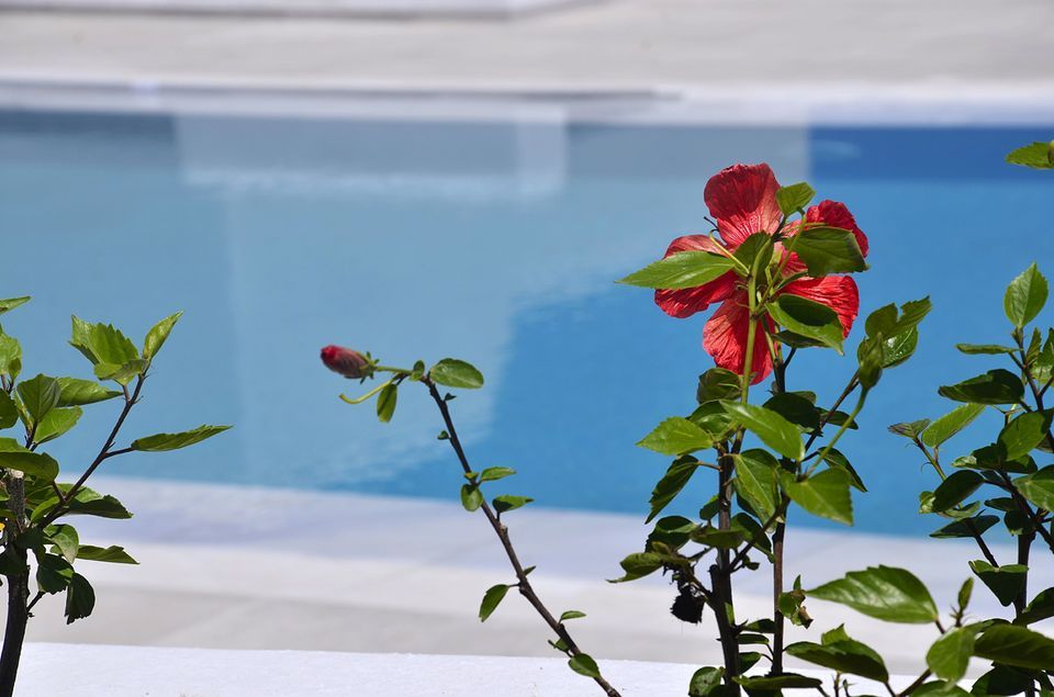 Ionathan Koufonisia Suites