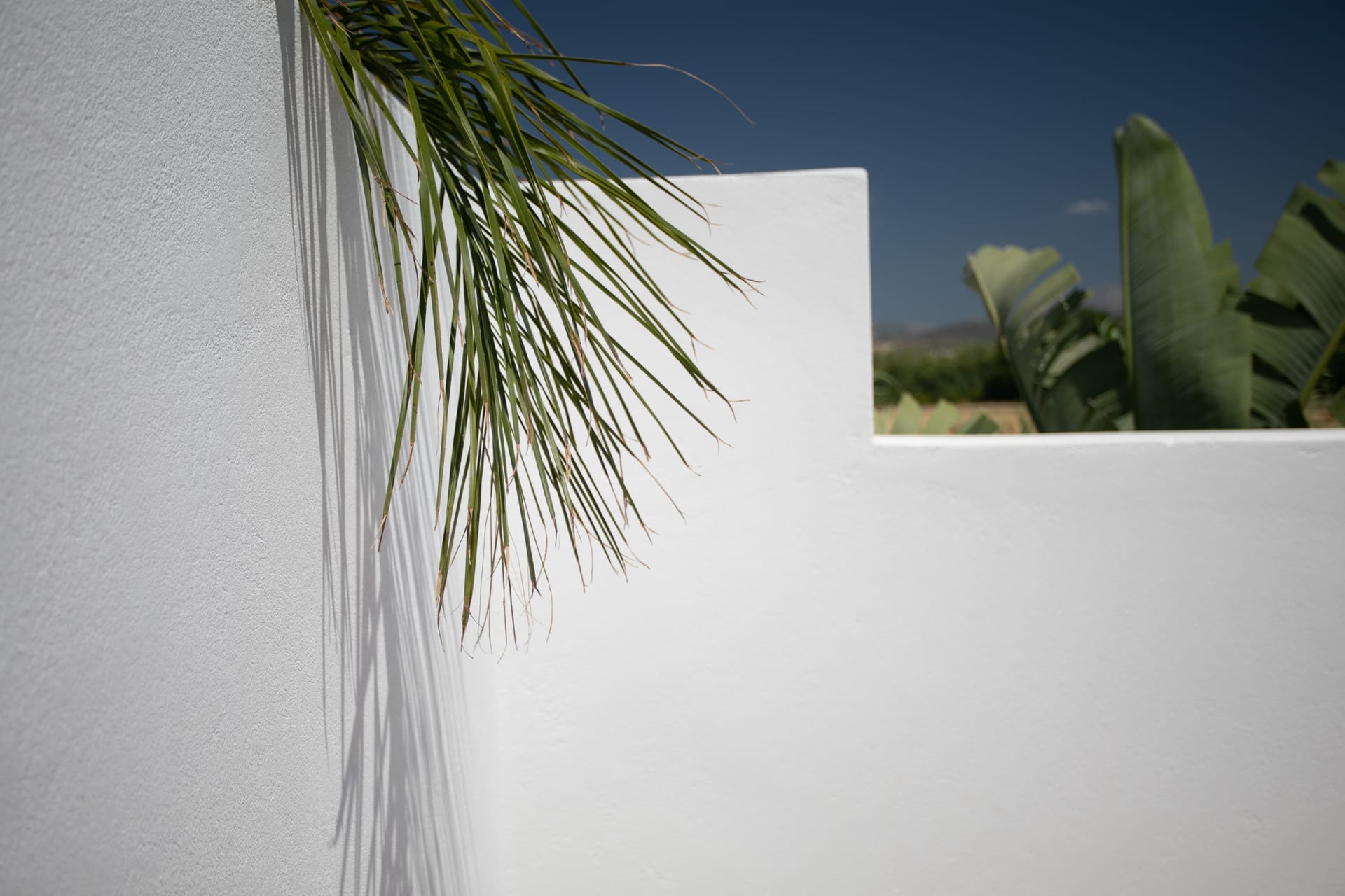 Iphimedeia Apartments & Suites Naxos