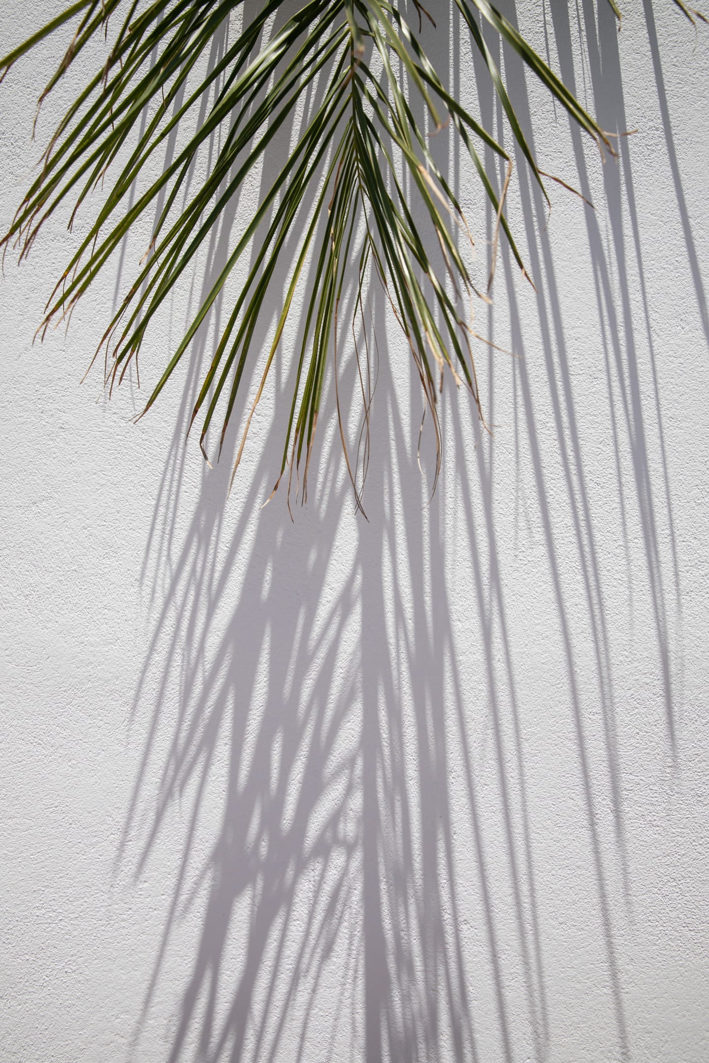 Iphimedeia Apartments & Suites Naxos