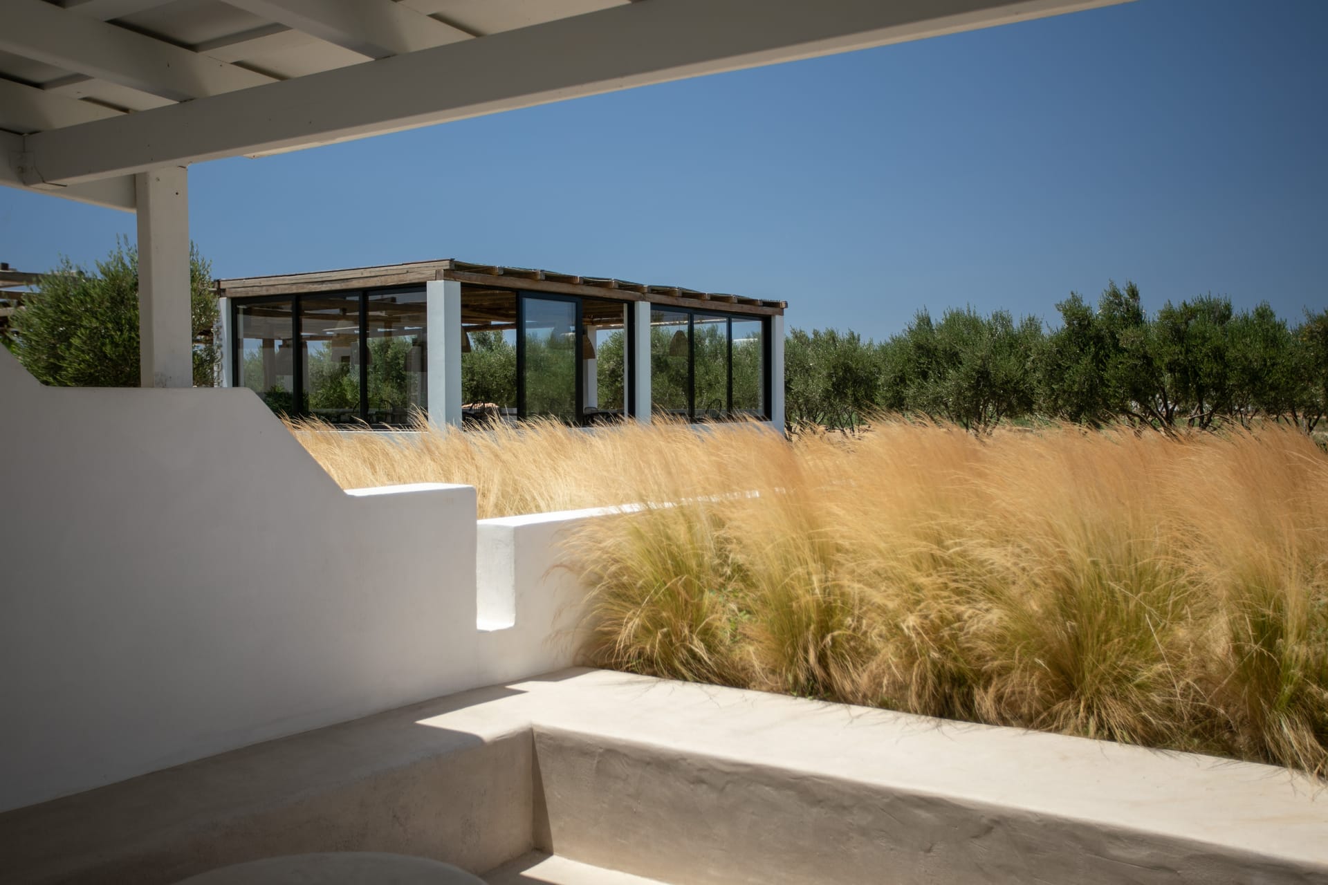 Iphimedeia Apartments & Suites Naxos