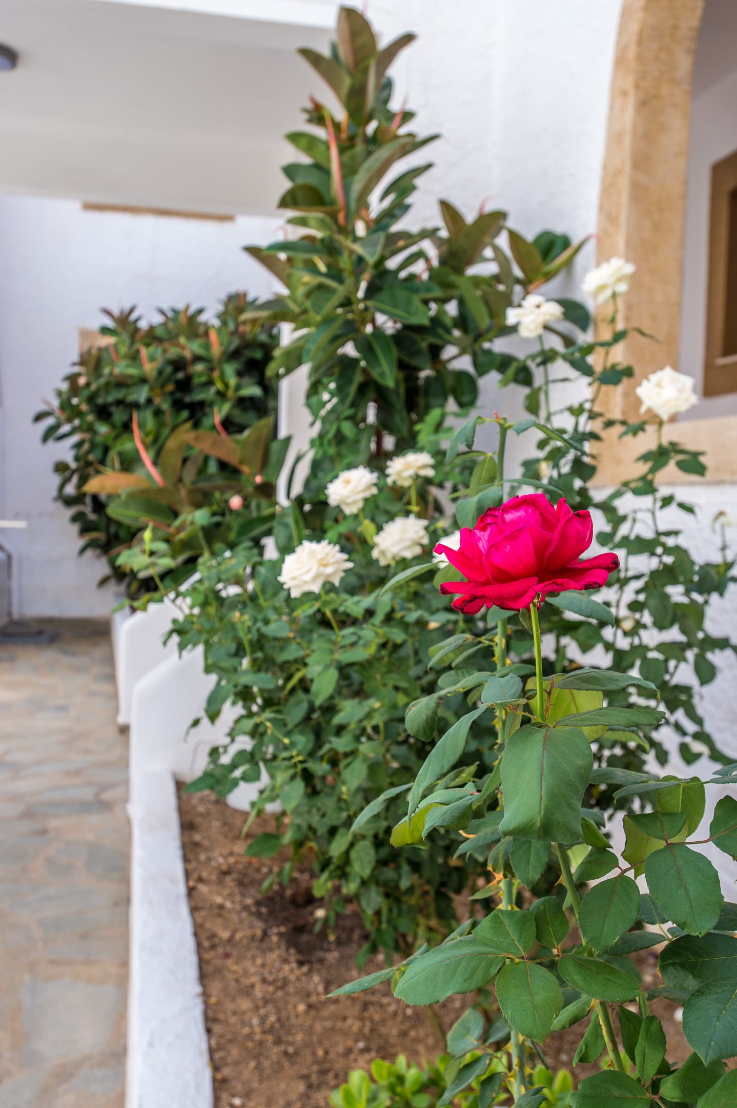 Joanna Apart - Hotel Patmos