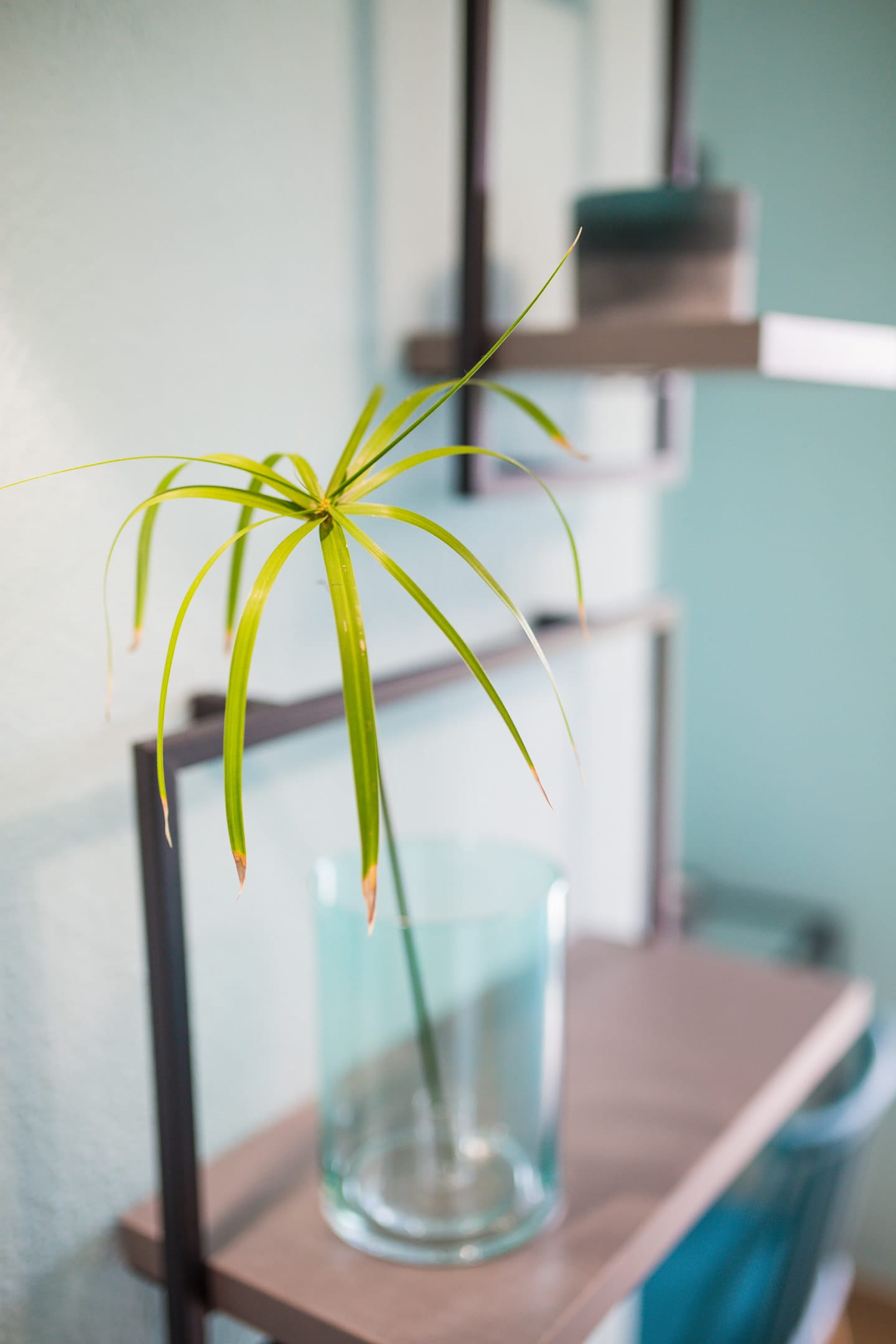 Joya Ofrynio Stylish Suites