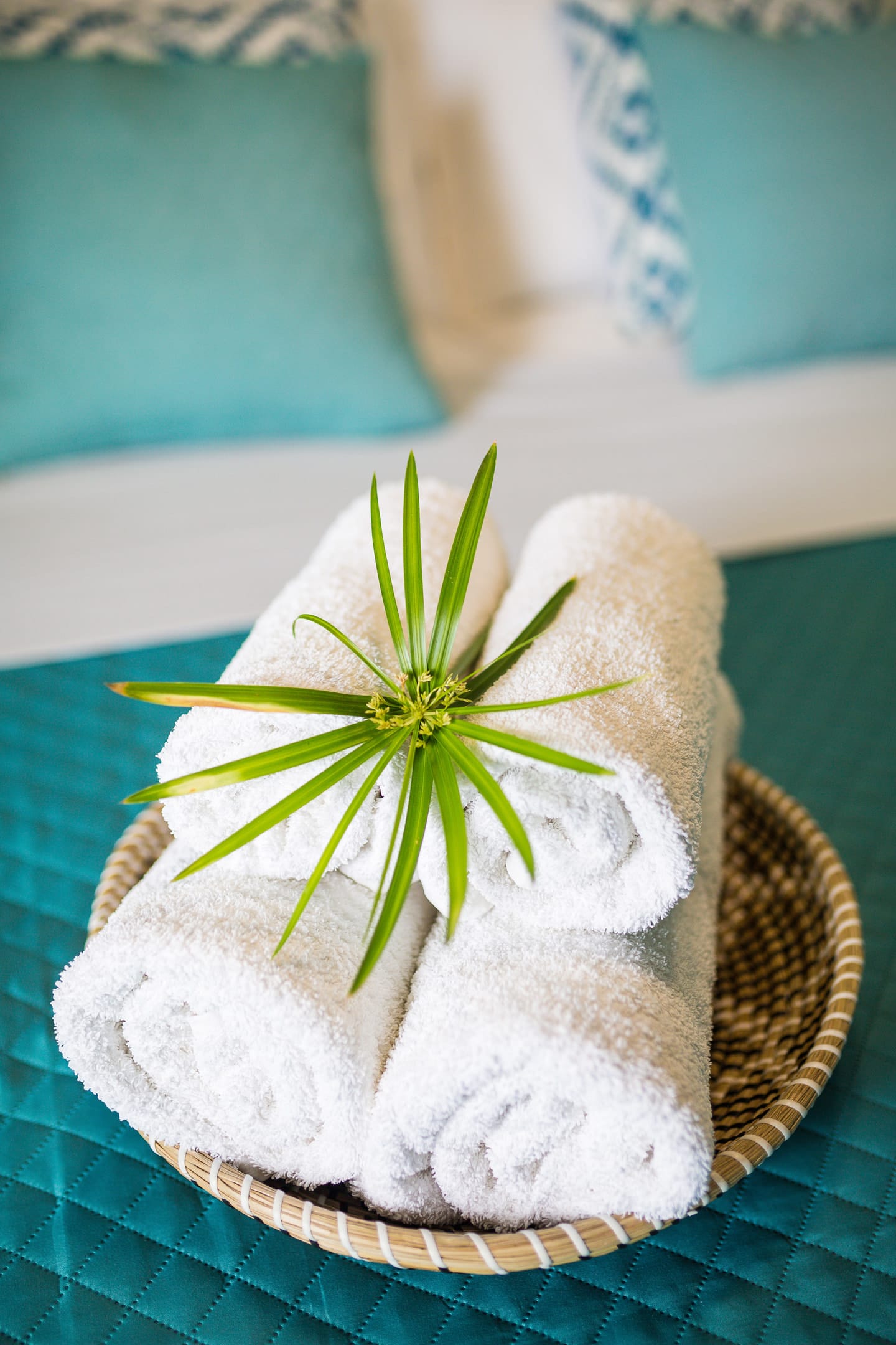 Joya Ofrynio Stylish Suites