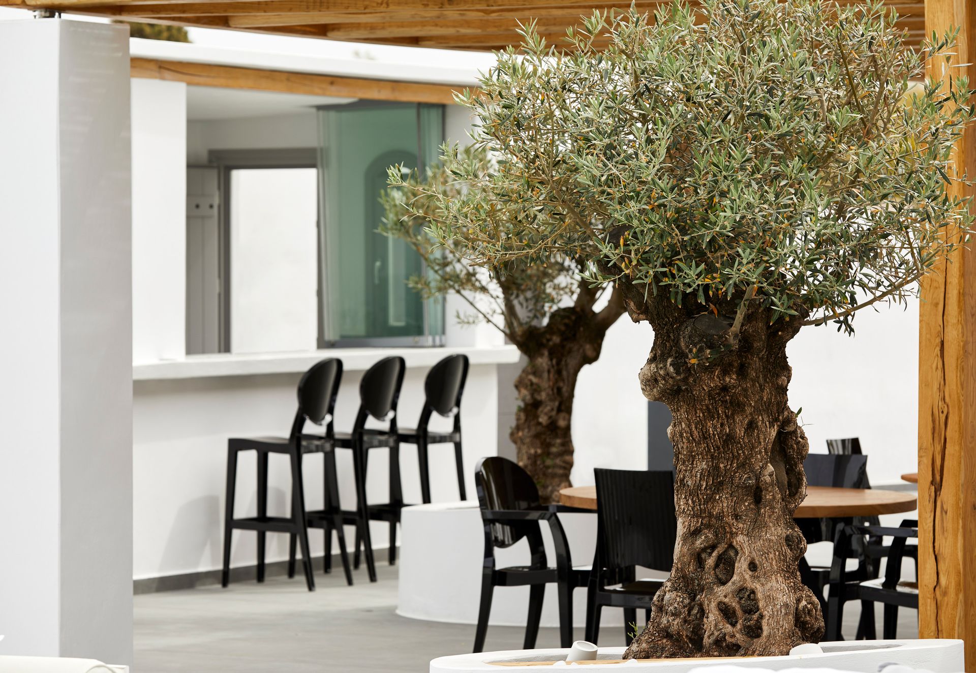 Kalisti Hotel & Suites