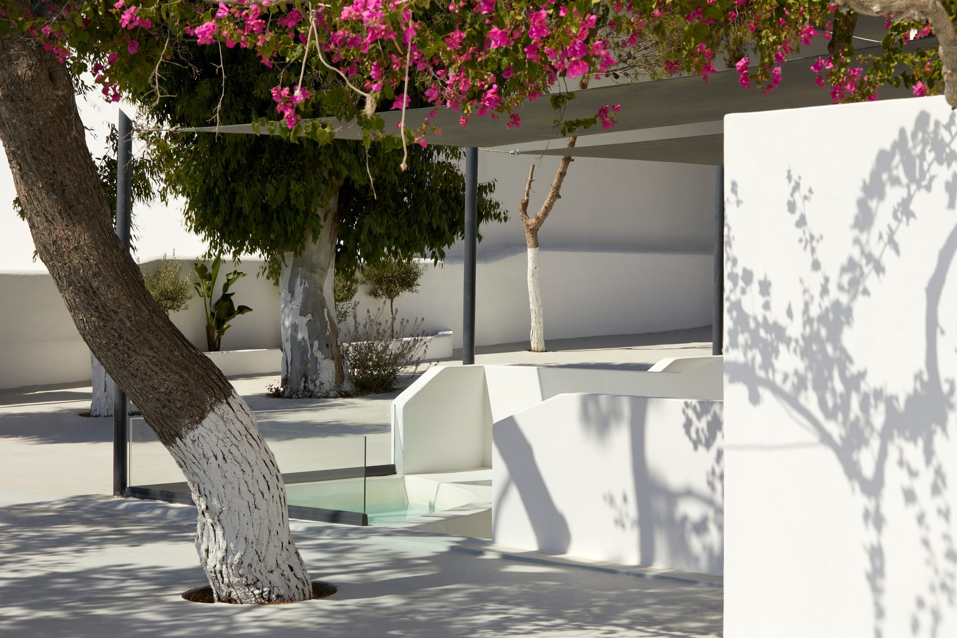 Kalisti Hotel & Suites