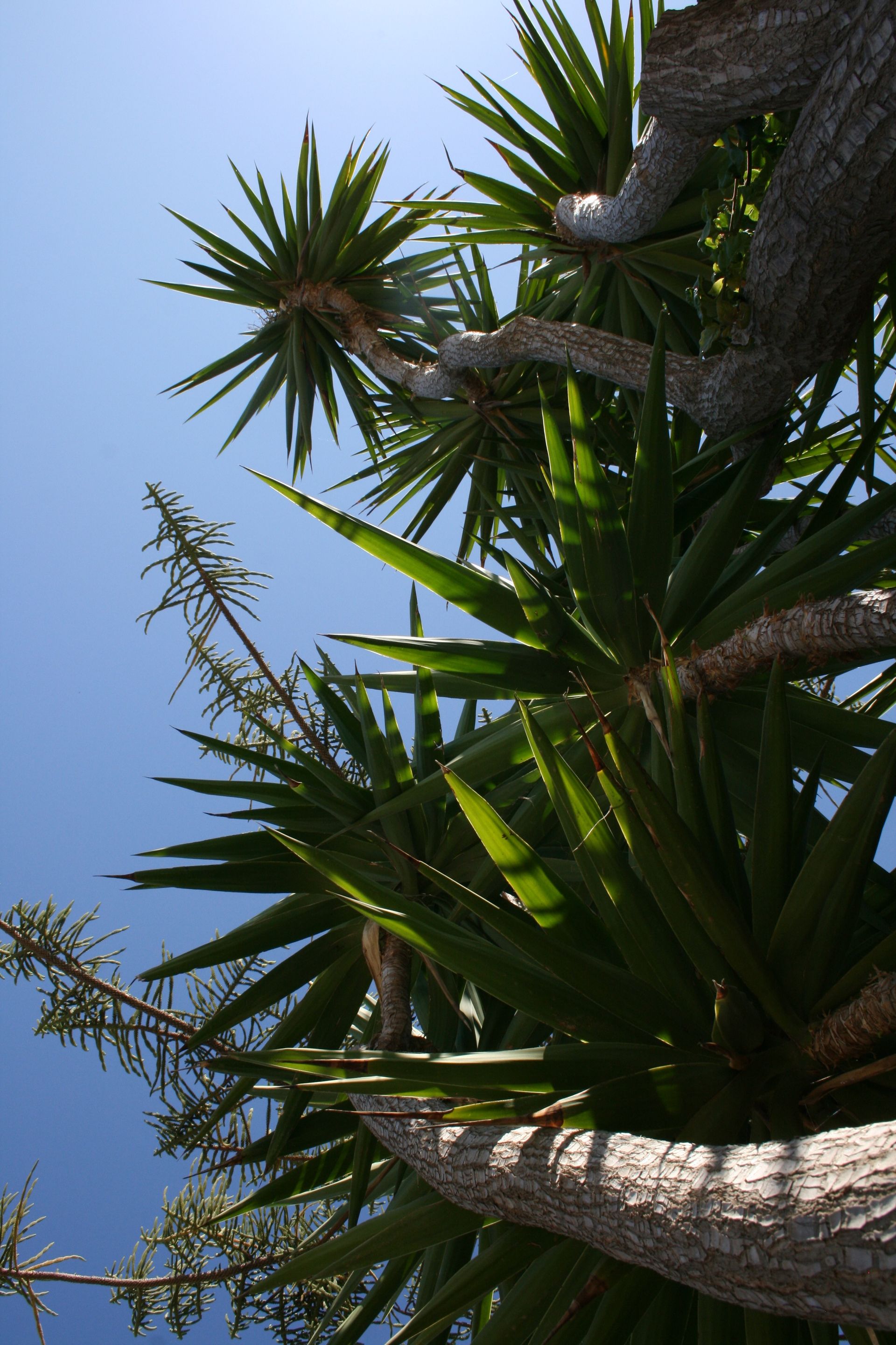 Kastro Apartments Crete