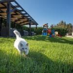 Kookis Village Zakynthos