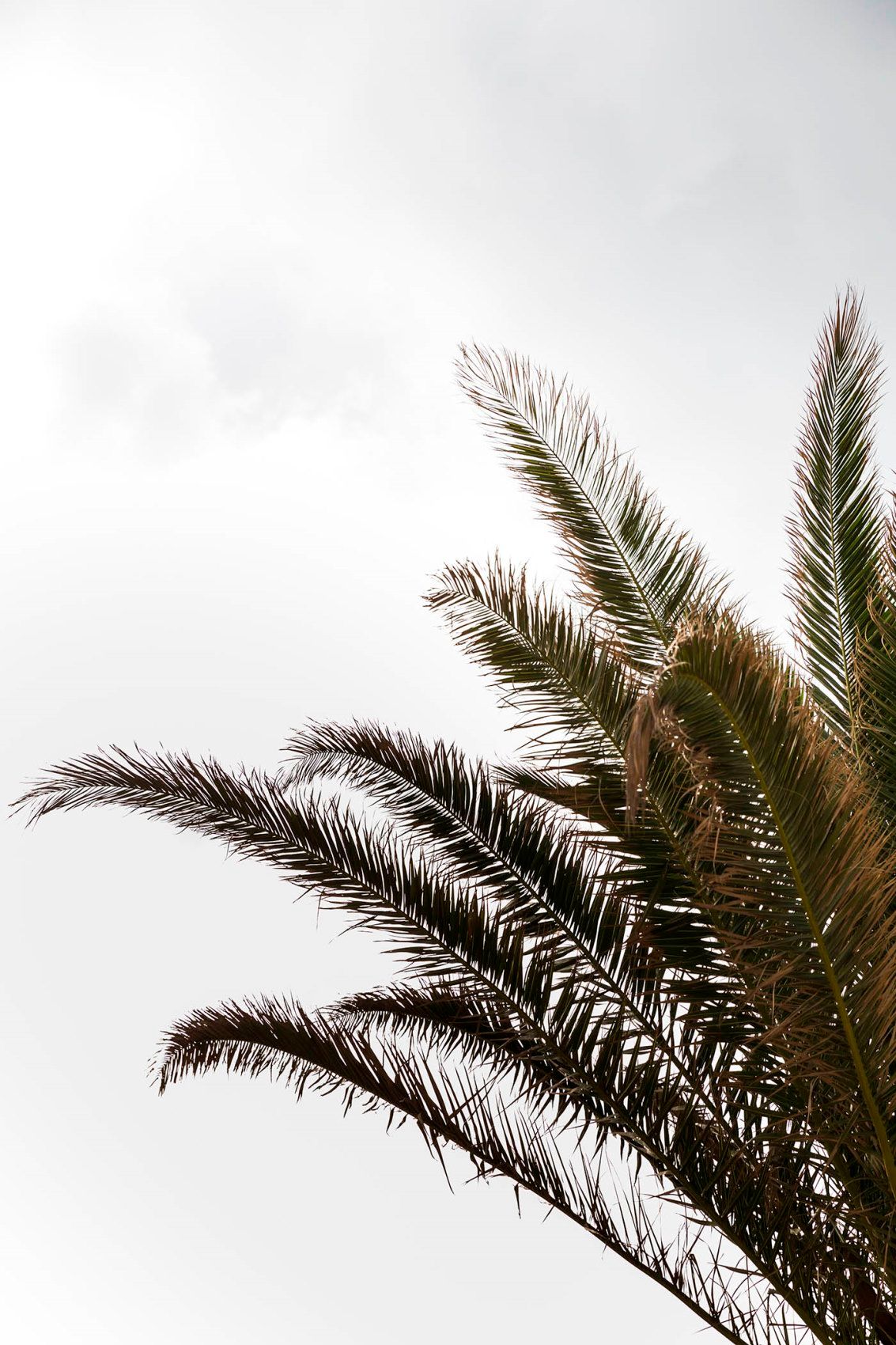 Kymata Bohemian Beach Resort Kefalonia