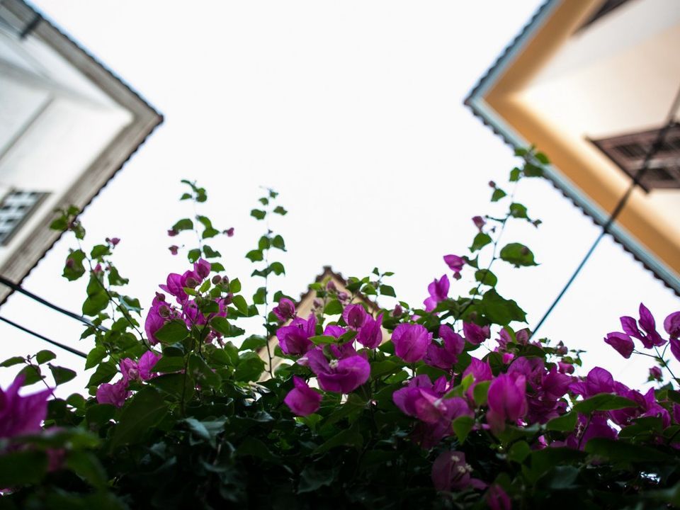 Kyveli Suites Nafplion