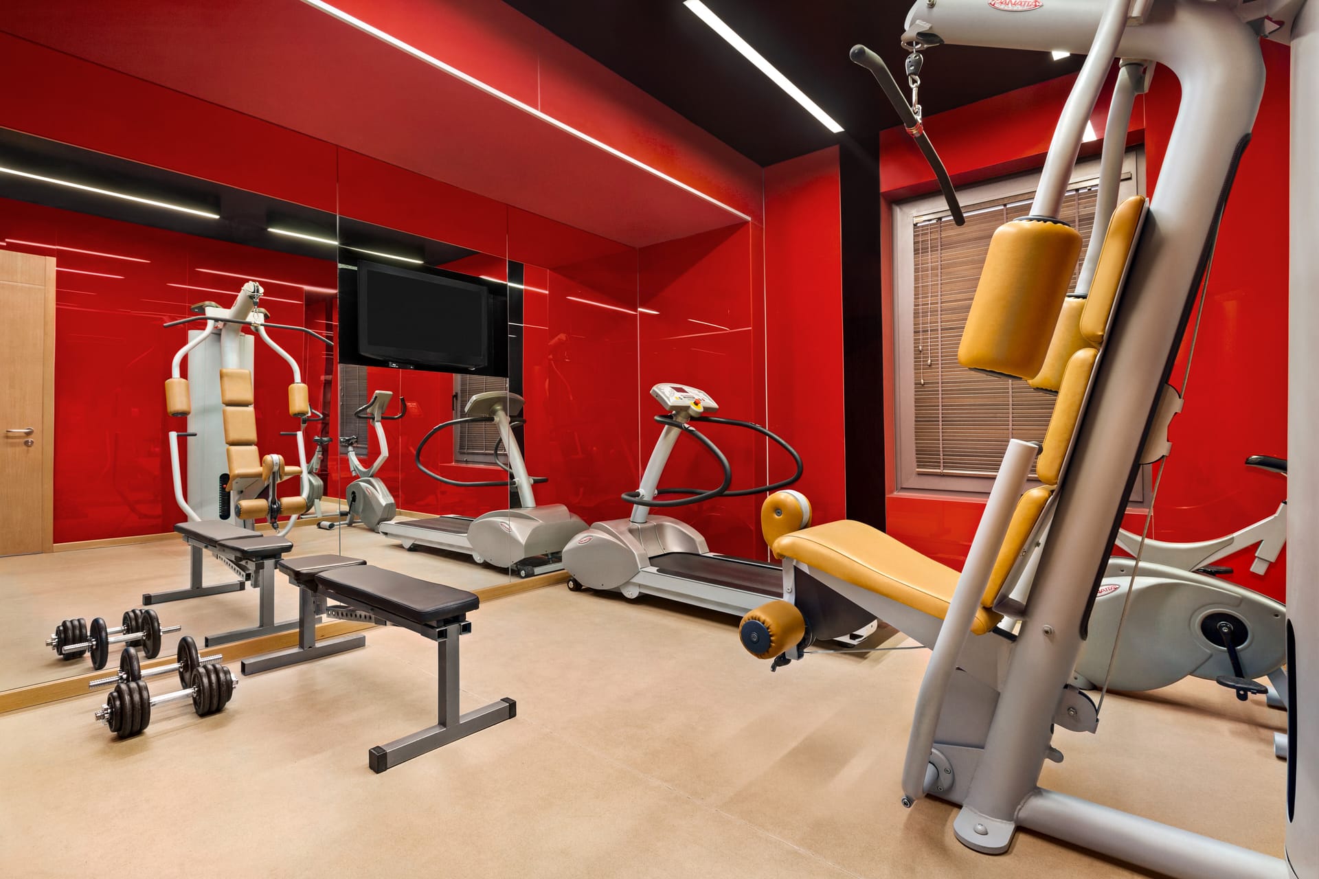 Zeus Thessaloniki Lazart