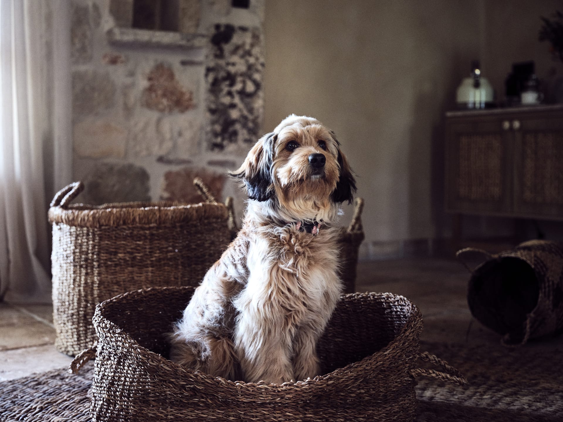 Leeda's Villas Zakynthos