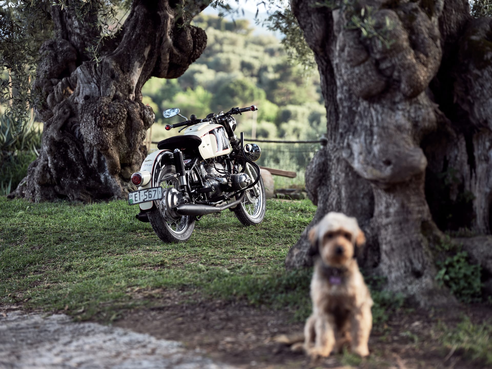 Leeda's Villas Zakynthos