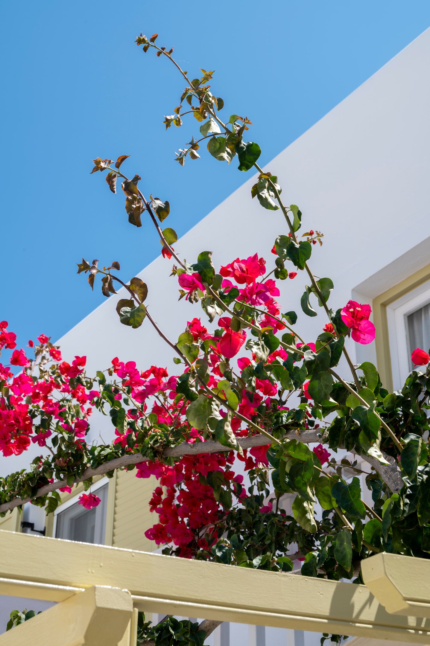 Leonardos Apartments