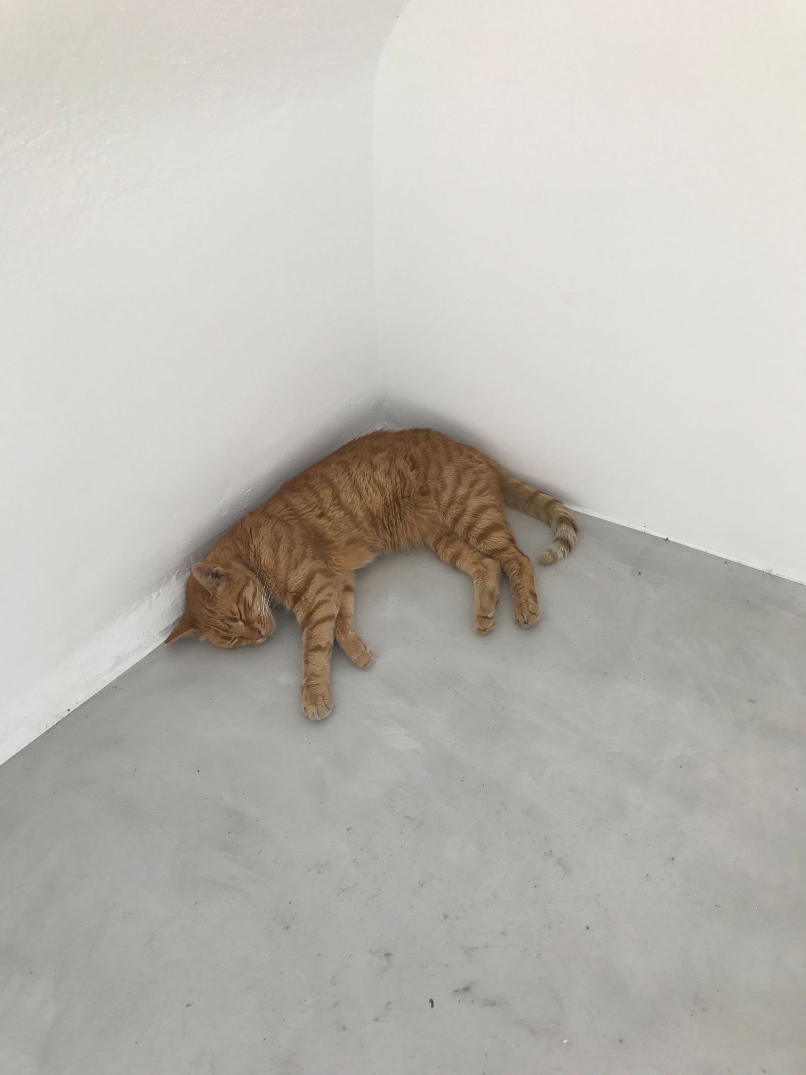 Leonardos Apartments