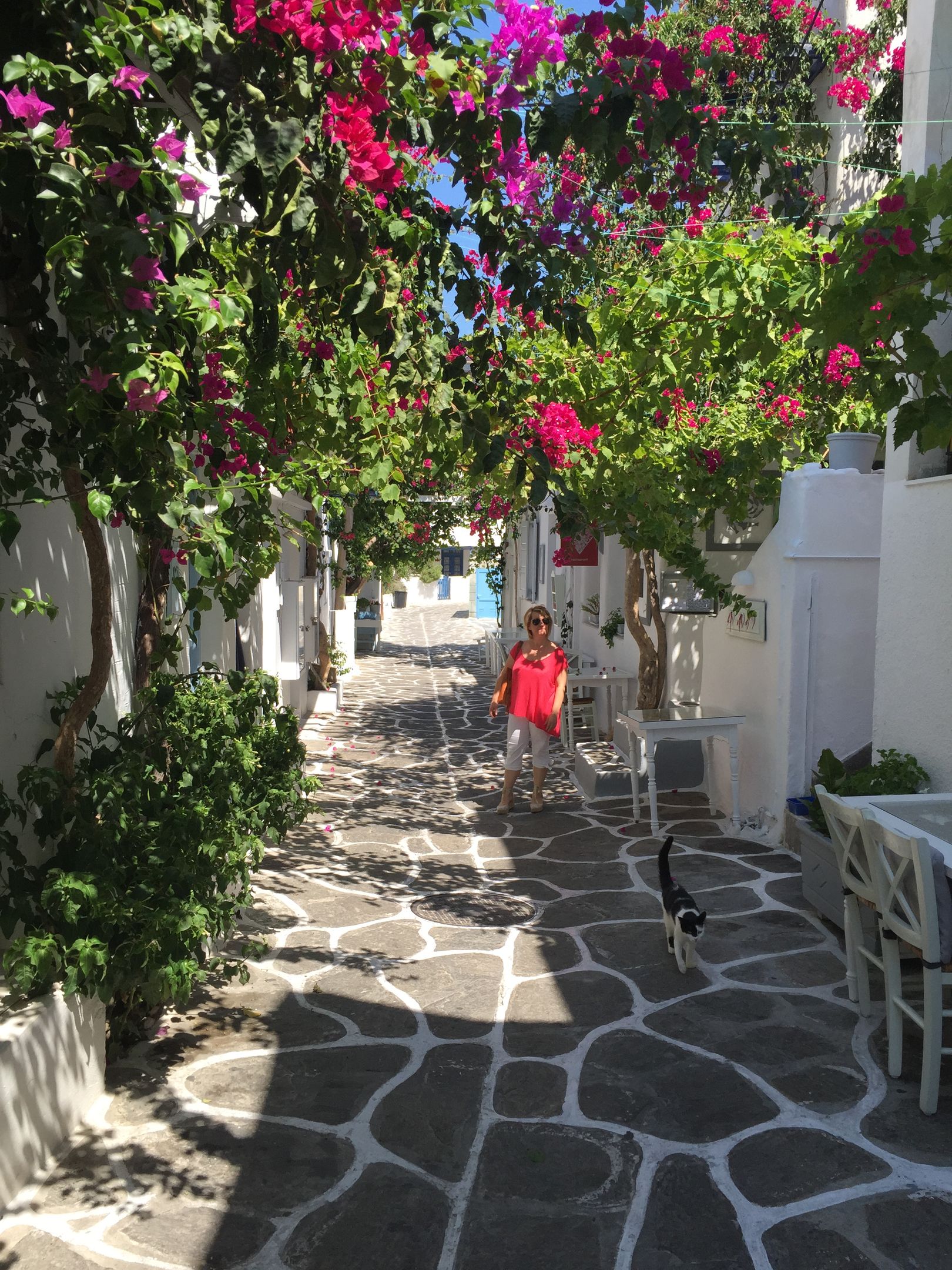 Leonardos Apartments