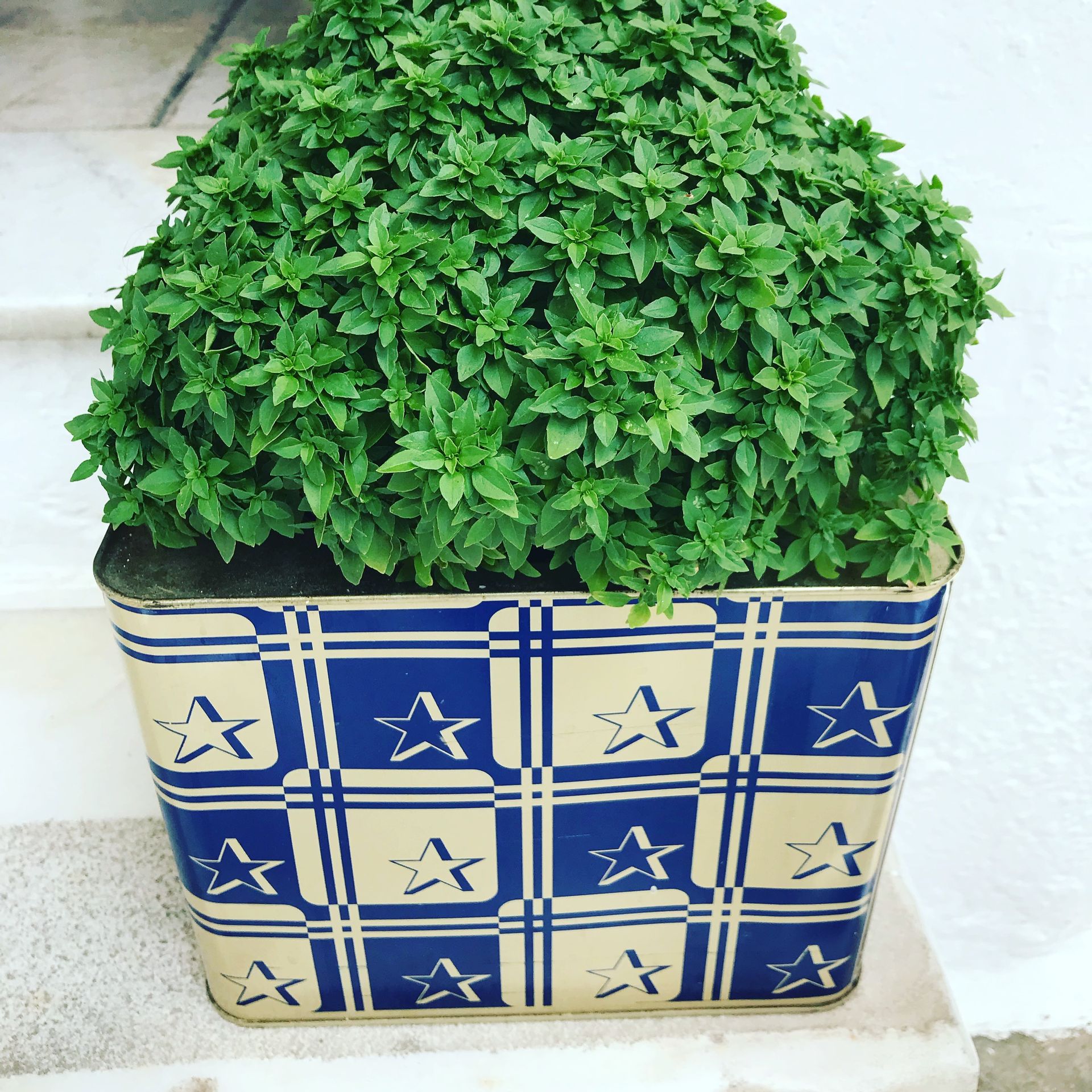 Leonardos Apartments