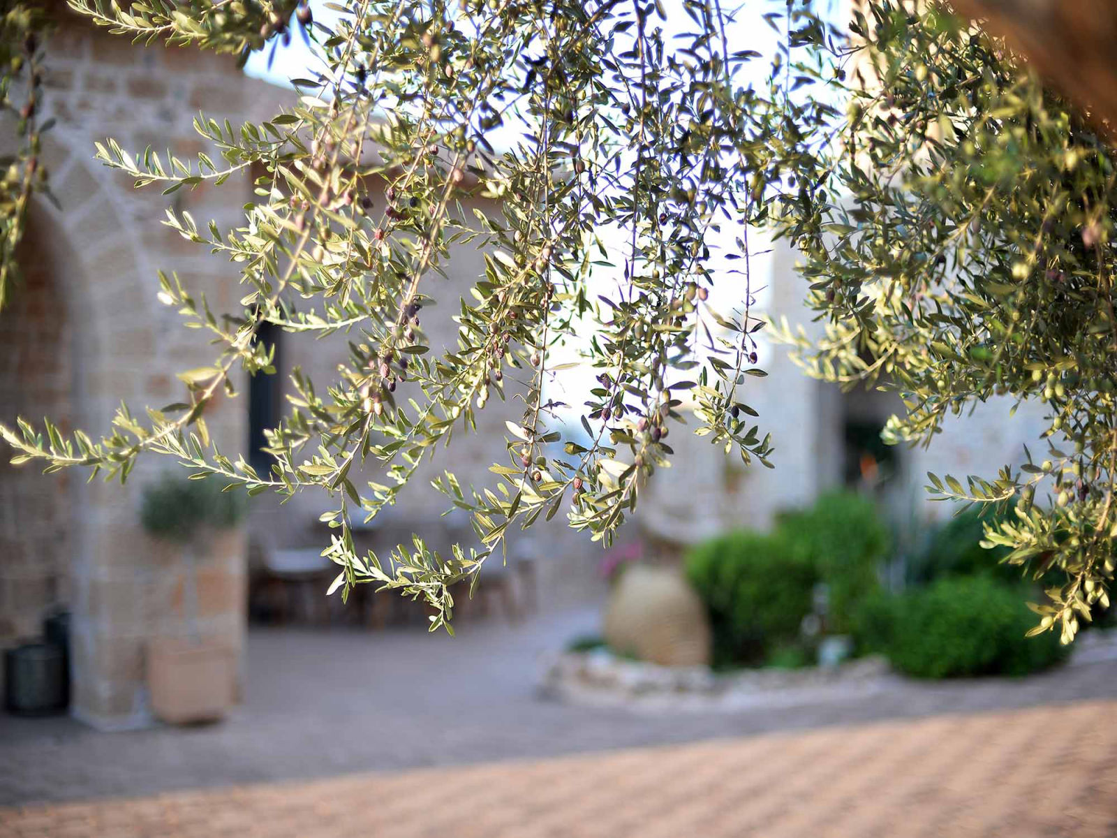 Akrolithi Guesthouse