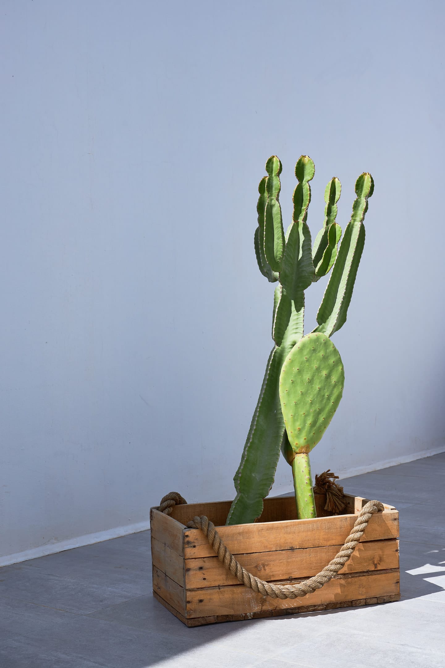 Mea Terra Villas Rhodes