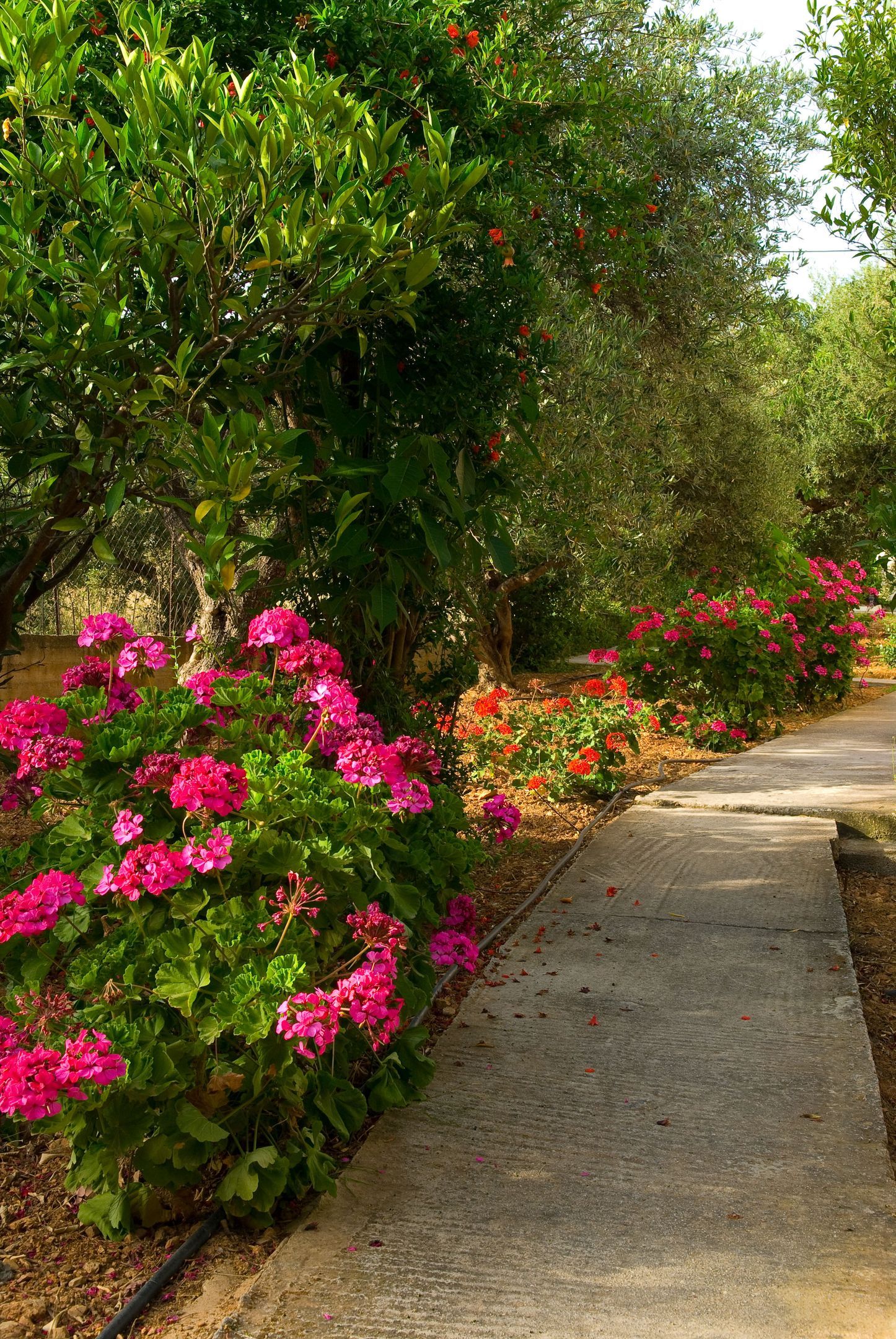 Mirabella Apartments Agios Nikolaos