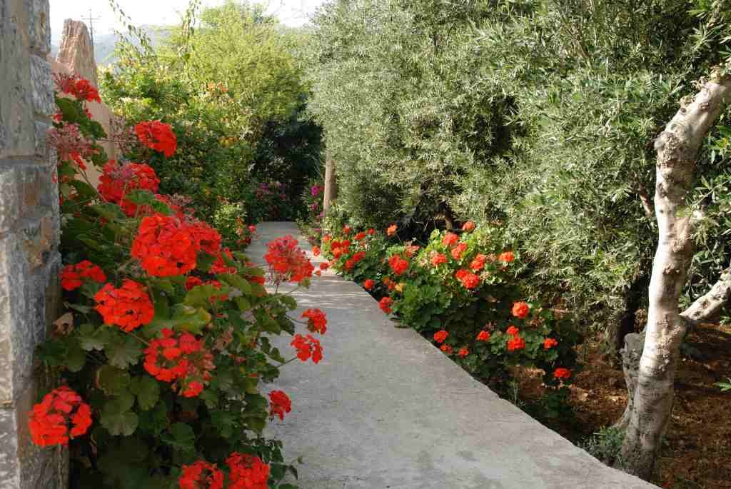 Mirabella Apartments Agios Nikolaos