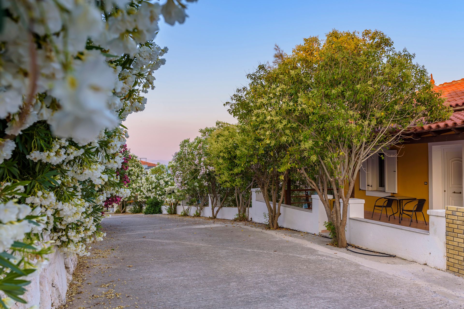 Mouzakis Villas Samos