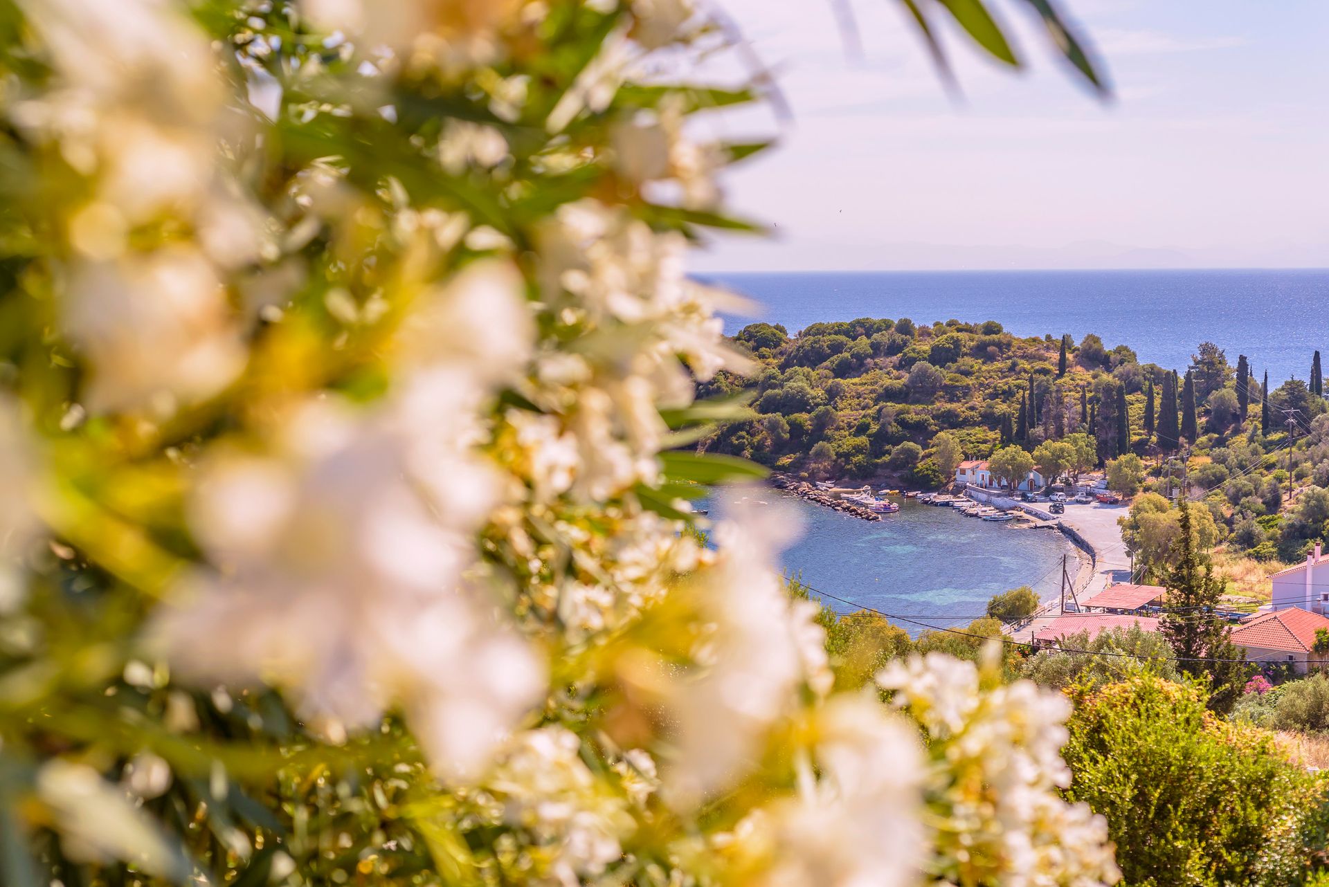 Mouzakis Villas Samos