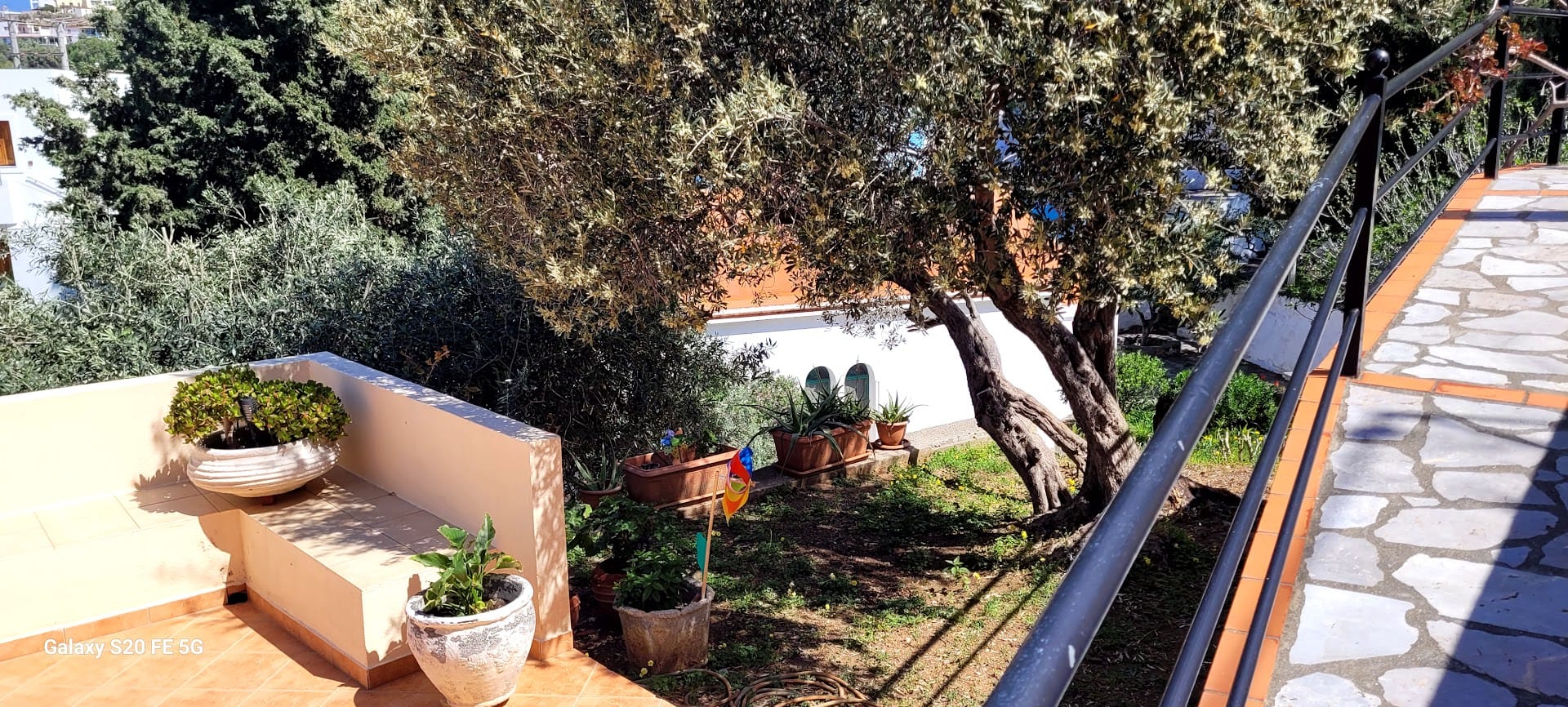 Myrties Boutique Apartments Kalymnos