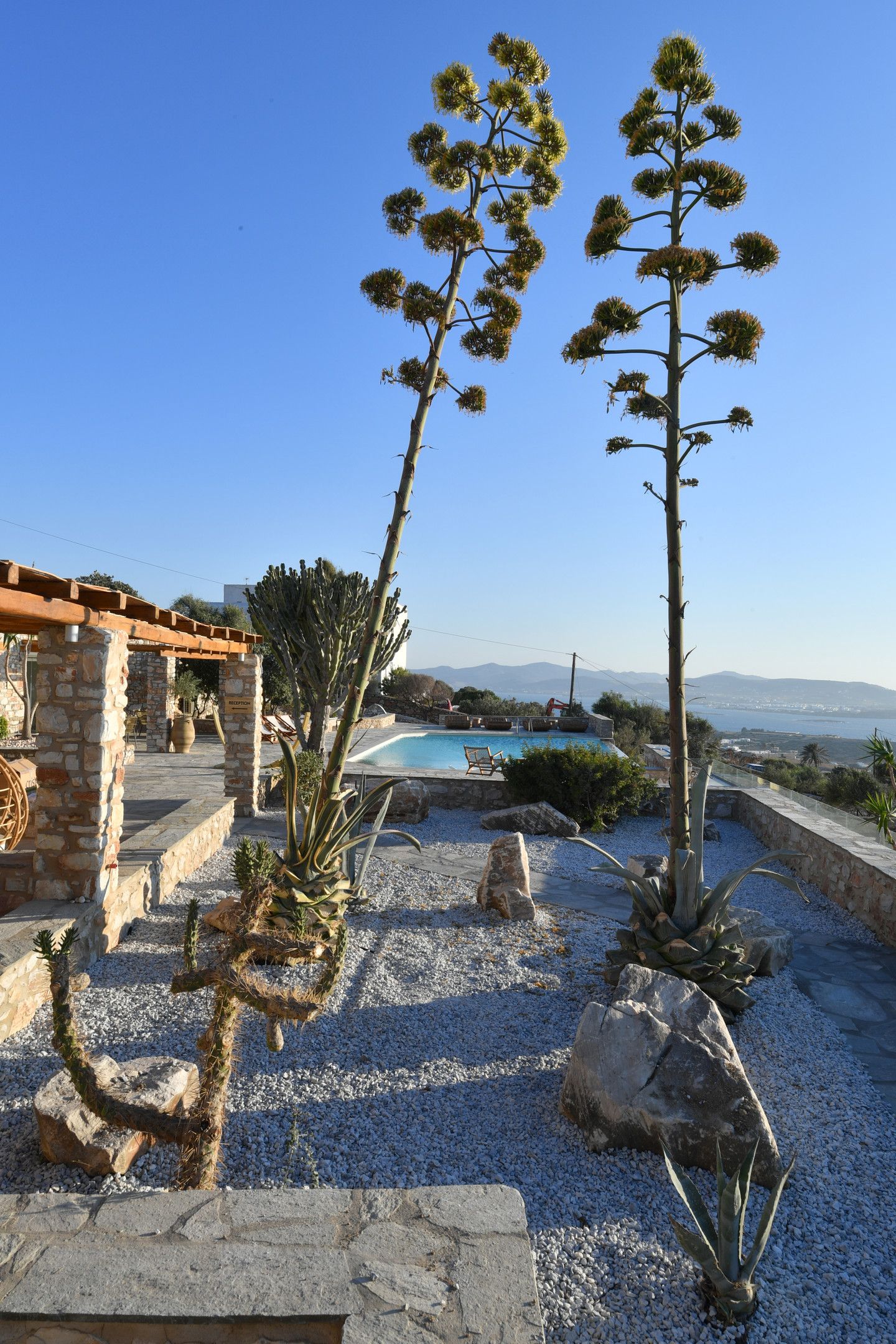 Mythic Paros, Adults - Only