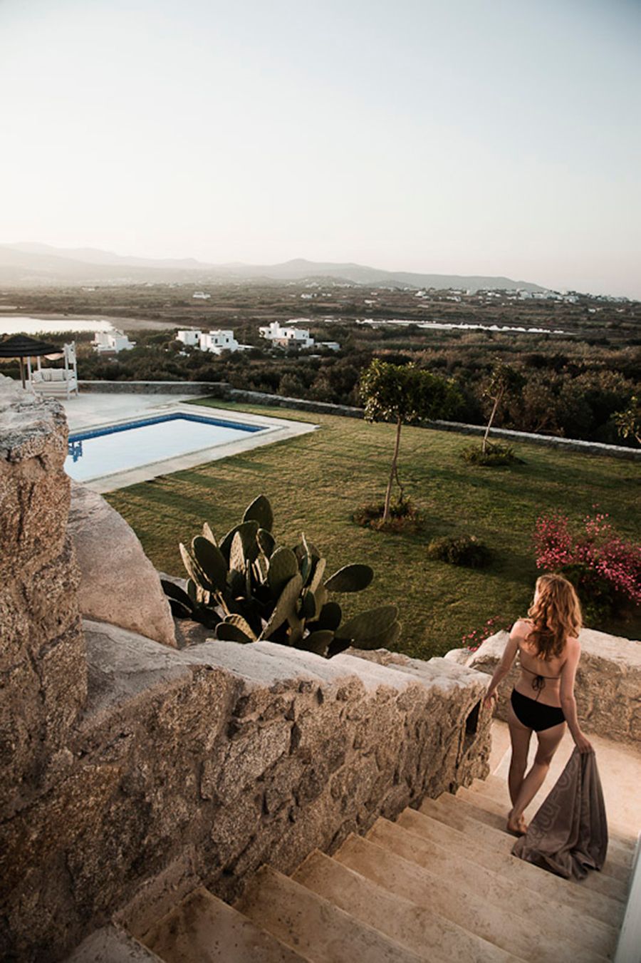 The Naxian Collection