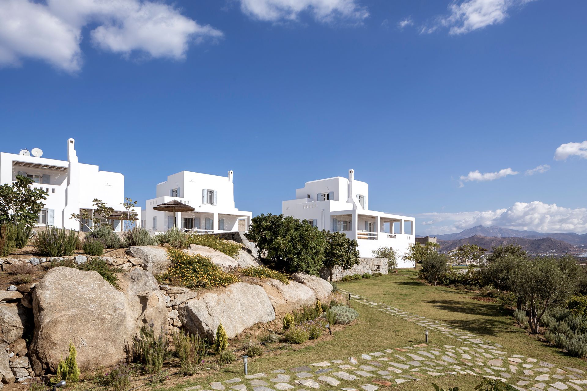 The Naxian Collection