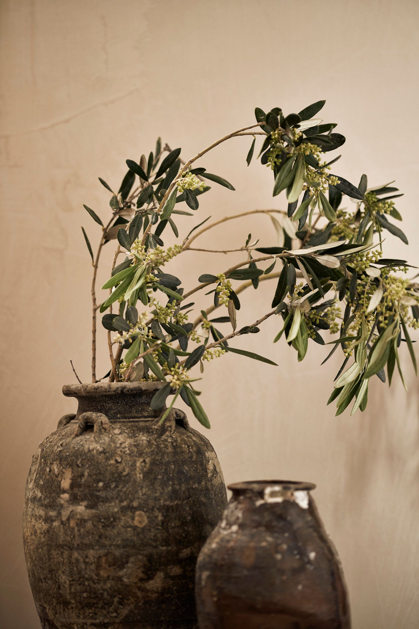 The Naxian Collection